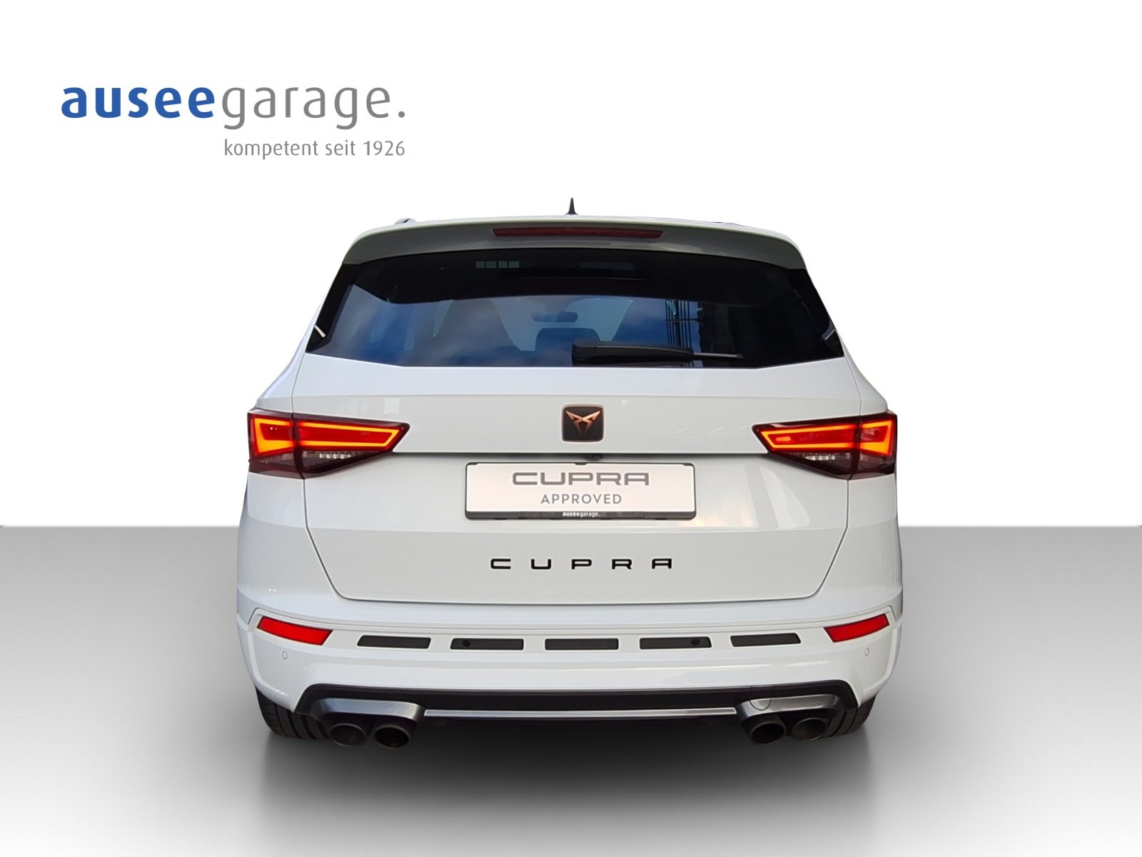 CUPRA Cupra Ateca 2.0 TSI 4Drive DSG, Benzina, Occasioni / Usate, Automatico - 4