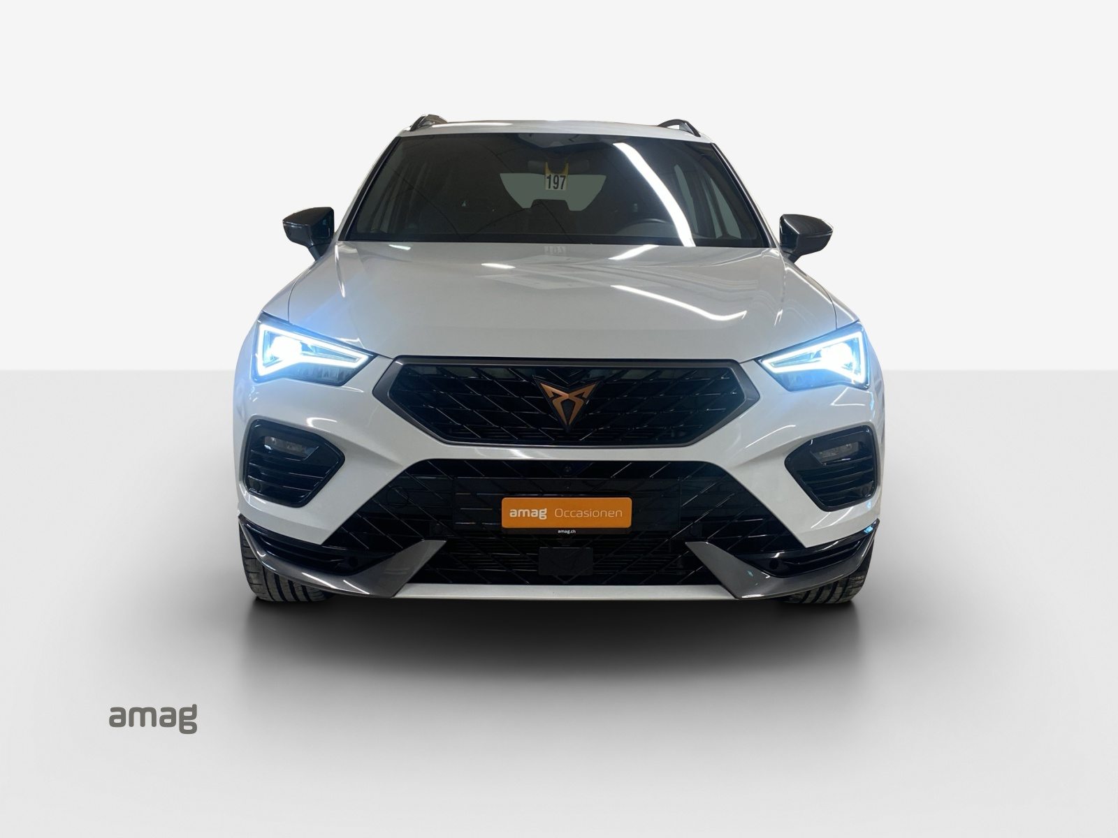 CUPRA ATECA, Benzina, Occasioni / Usate, Automatico - 7