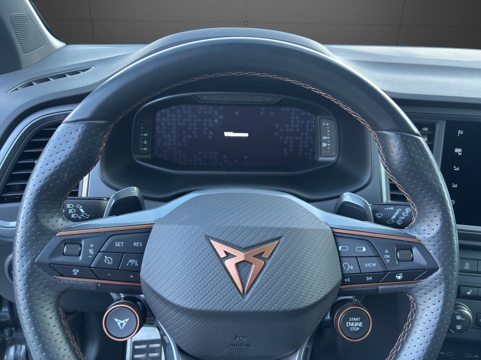 CUPRA Ateca 2.0TSI 4Drive DSG, Essence, Occasion / Utilisé, Automatique - 6