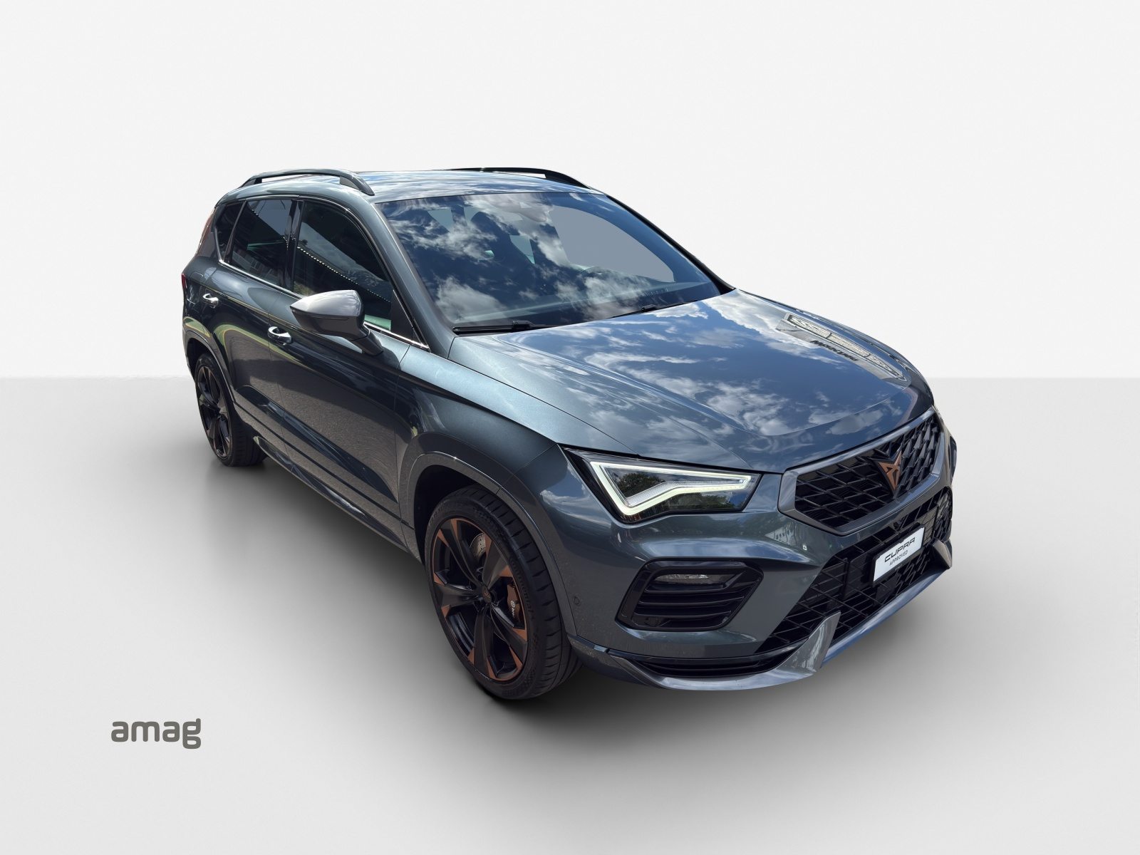 CUPRA ATECA, Benzina, Occasioni / Usate, Automatico - 6