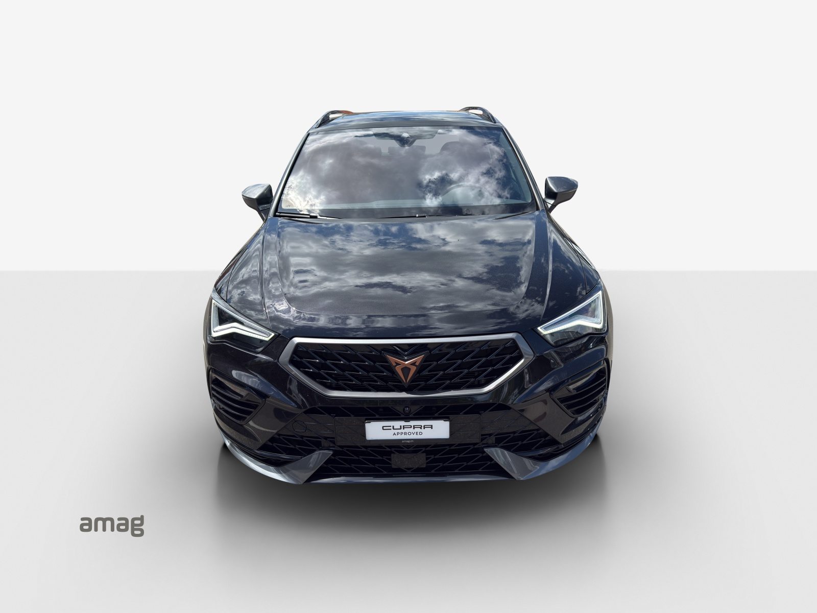 CUPRA ATECA, Benzina, Occasioni / Usate, Automatico - 7
