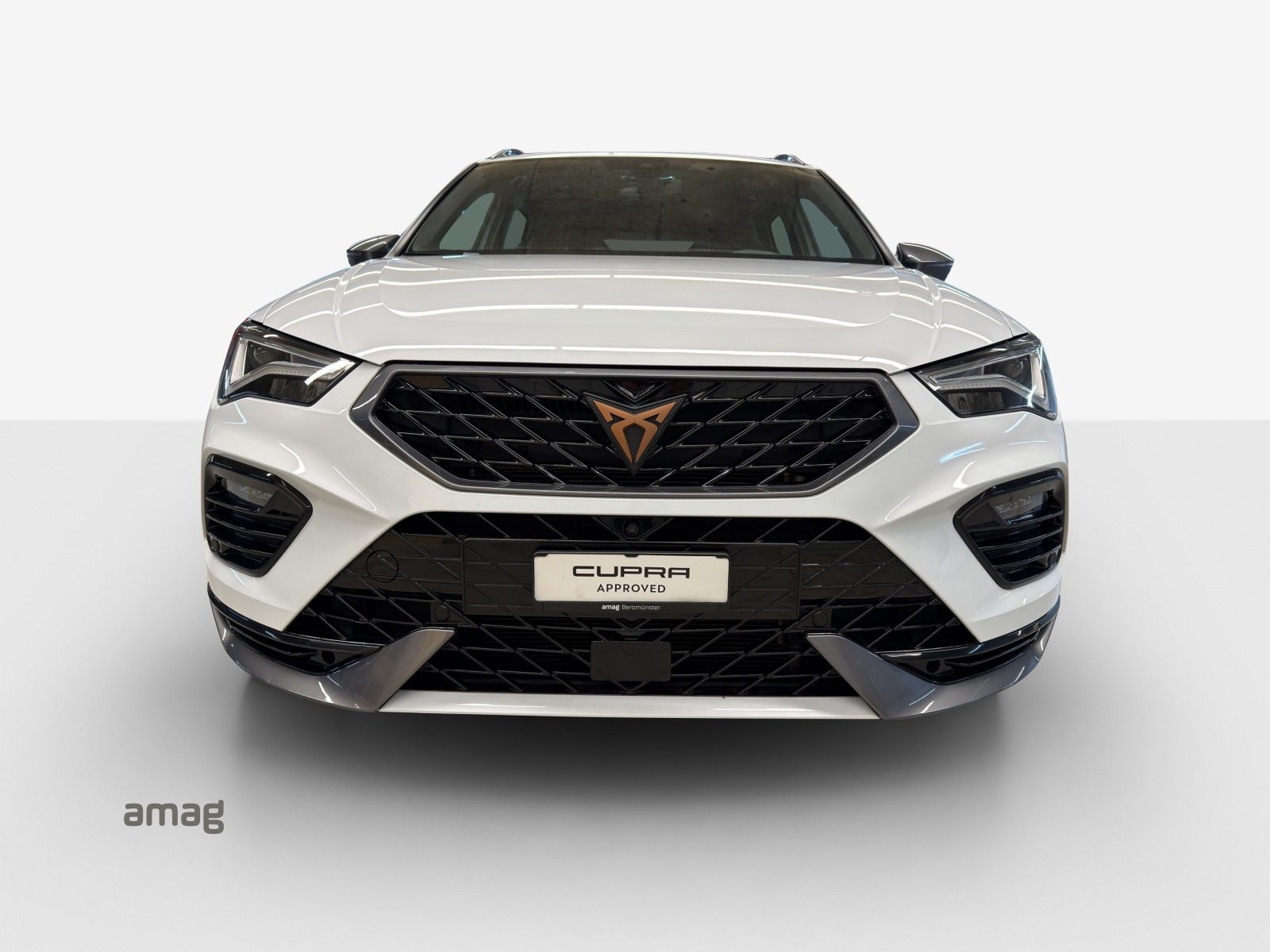 CUPRA ATECA, Benzina, Occasioni / Usate, Automatico - 7