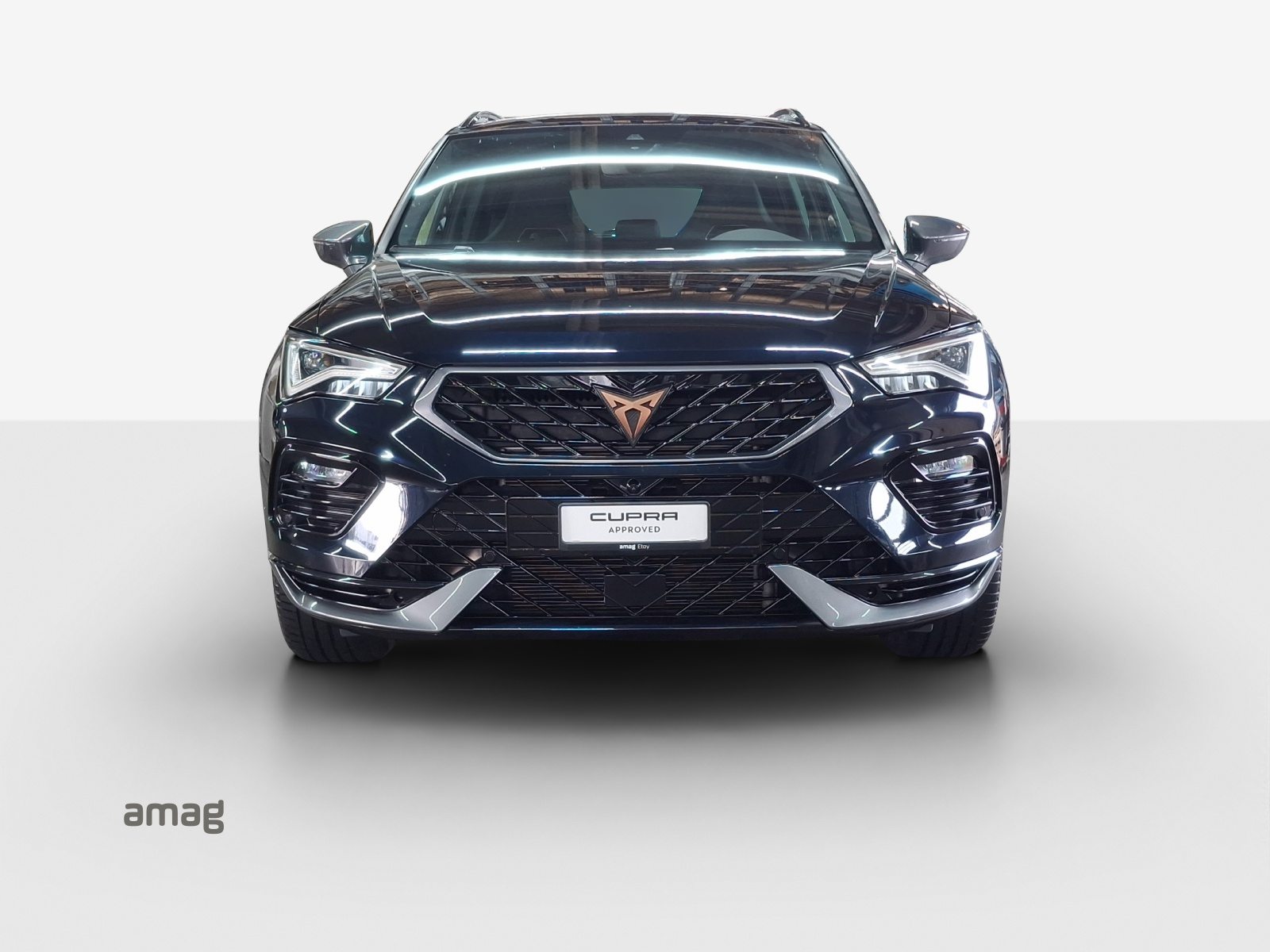 CUPRA ATECA, Benzina, Occasioni / Usate, Automatico - 6