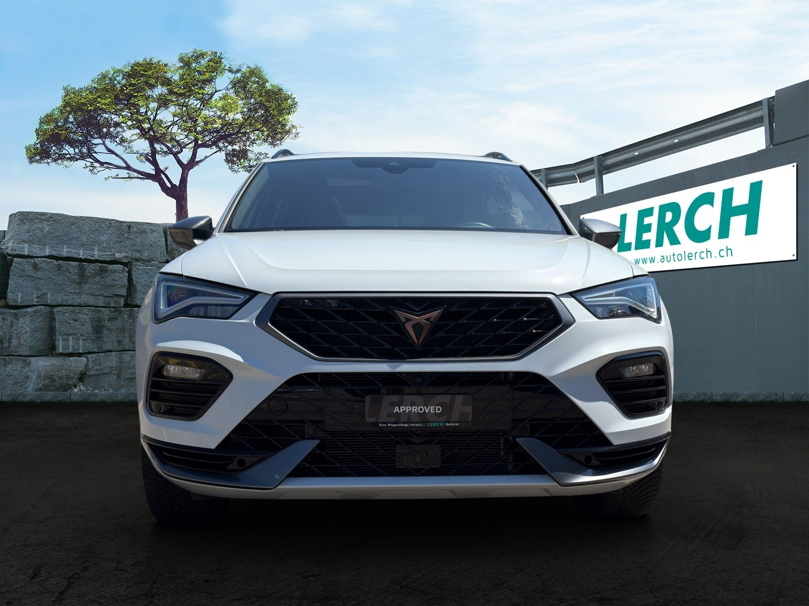 CUPRA Ateca 2.0 TSI VZ 4Drive DSG, Benzina, Occasioni / Usate, Automatico - 2