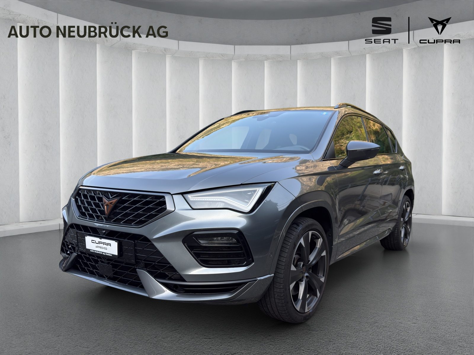 CUPRA ATECA, Benzina, Occasioni / Usate, Automatico