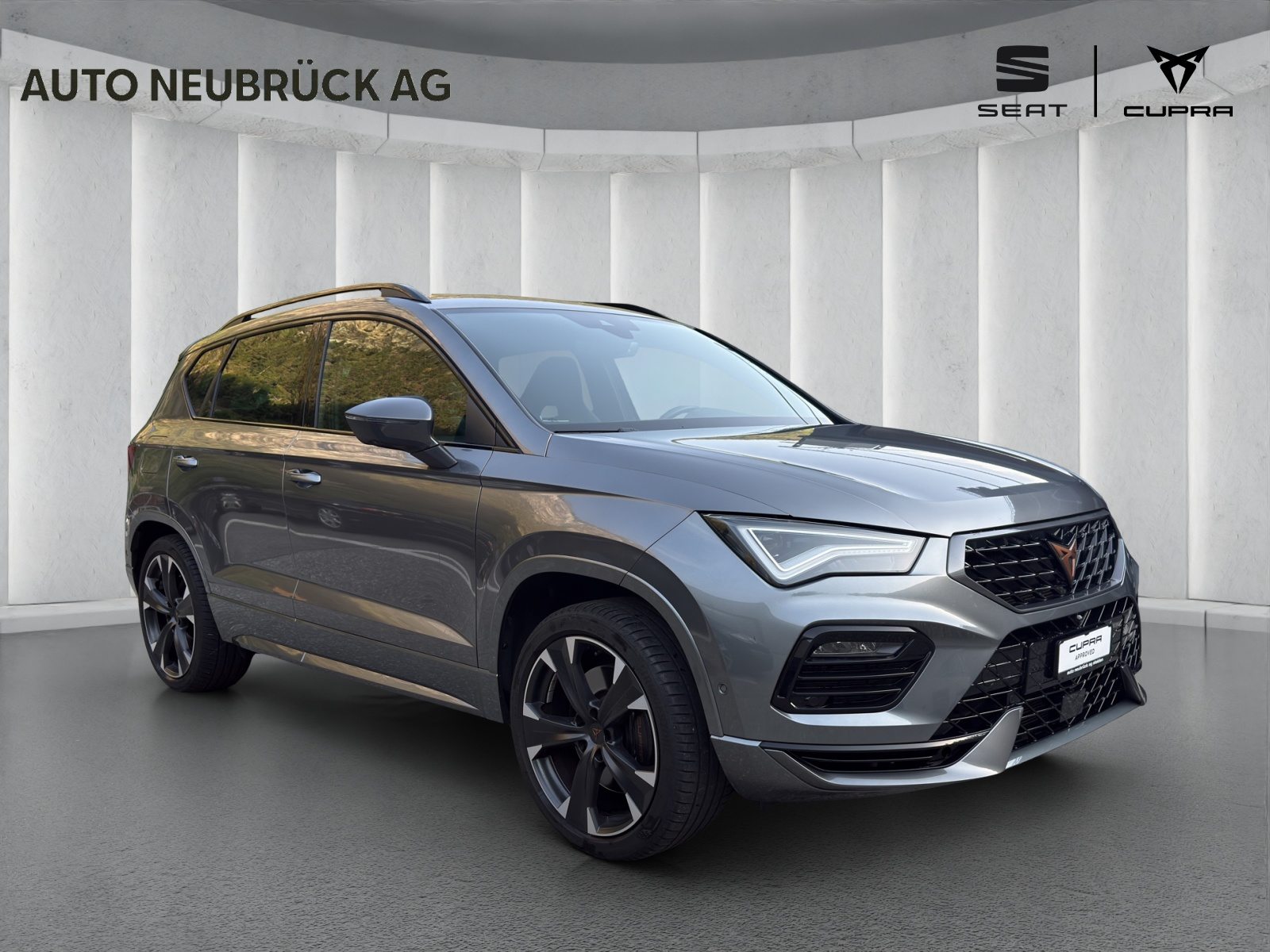 CUPRA ATECA, Benzina, Occasioni / Usate, Automatico - 5