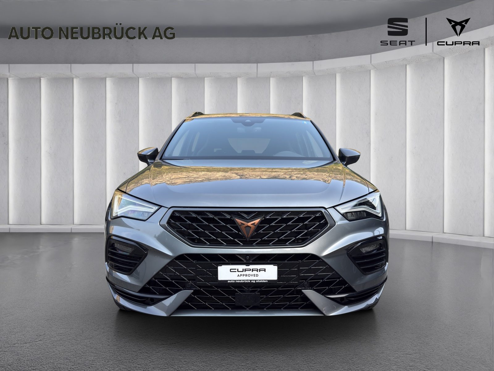 CUPRA ATECA, Benzina, Occasioni / Usate, Automatico - 6