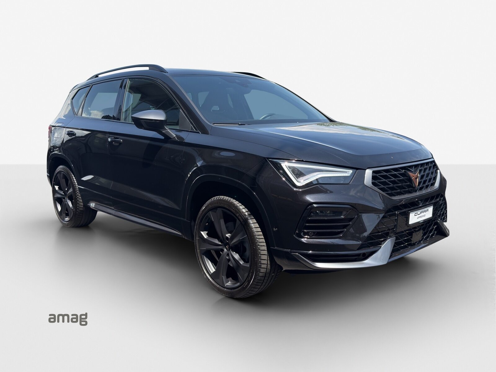 CUPRA ATECA 4DRIVE, Benzina, Occasioni / Usate, Automatico - 6