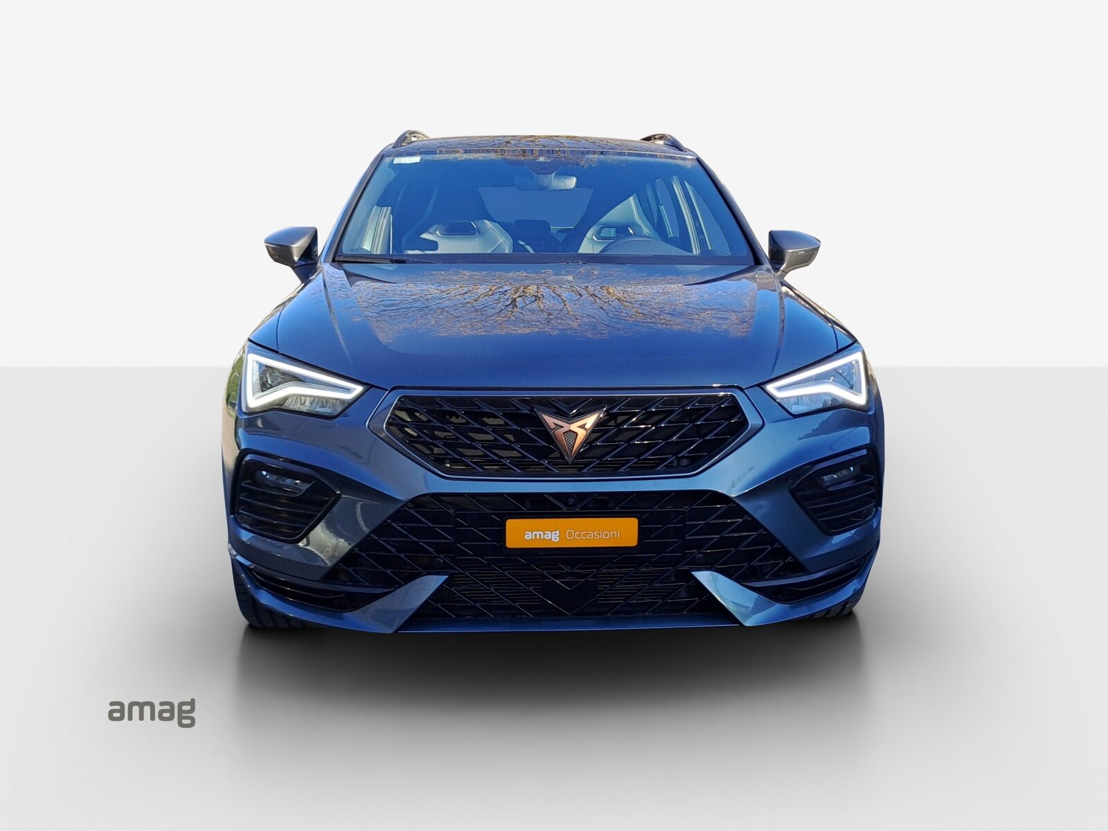 CUPRA ATECA, Benzina, Occasioni / Usate, Automatico - 7