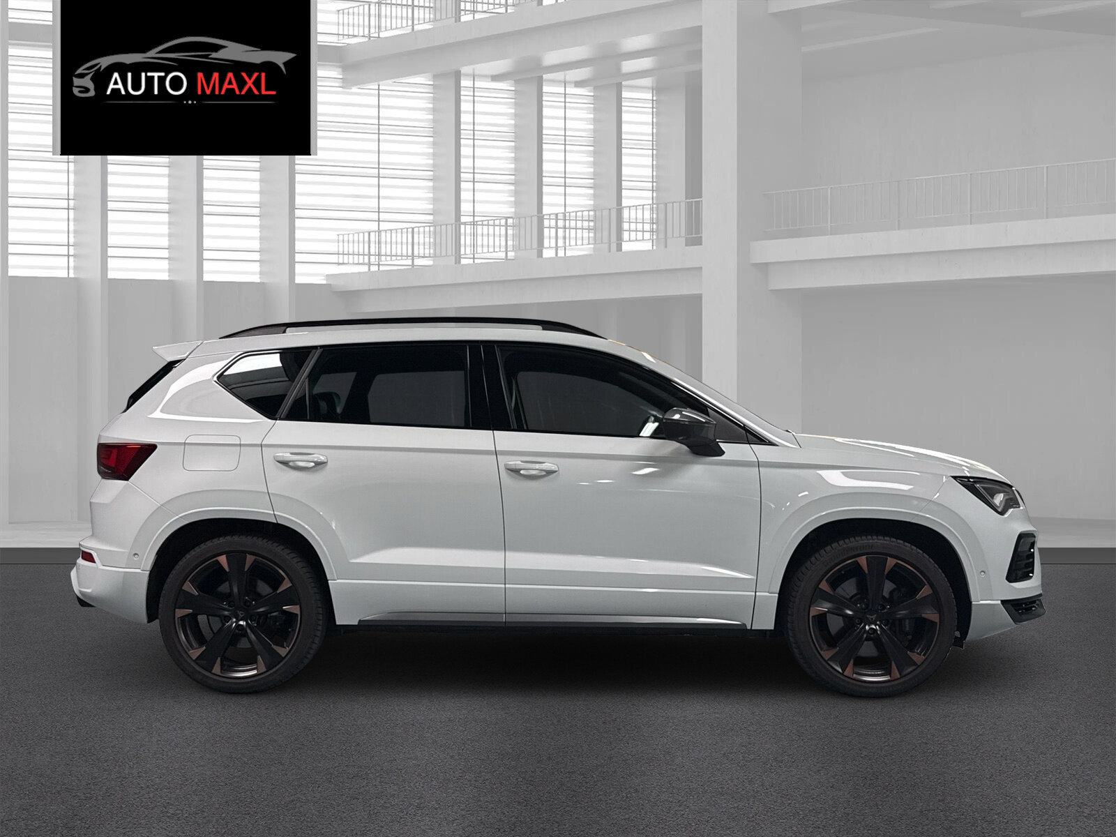 CUPRA Ateca 2.0TSI VZ 4Drive DSG, Essence, Occasion / Utilisé, Automatique - 6