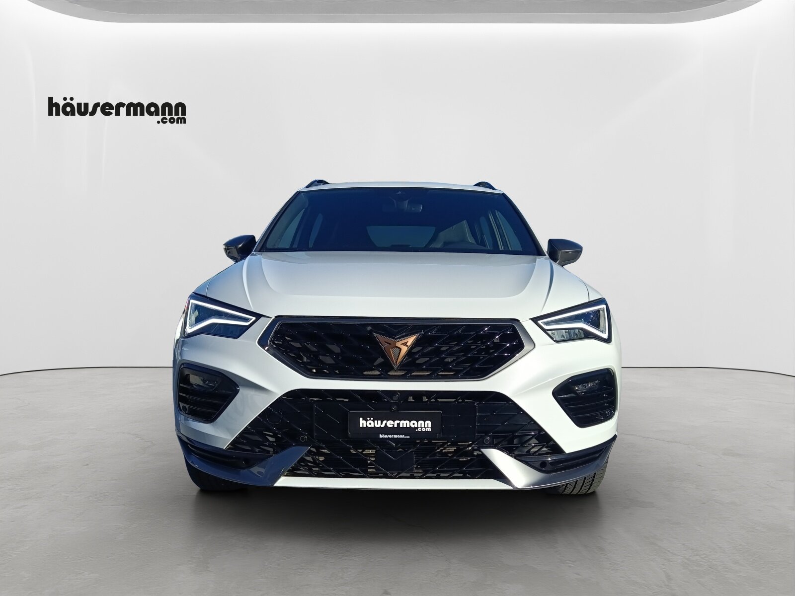 CUPRA Ateca 2.0 TSI 4Drive DSG, Benzin, Occasion / Gebraucht, Automatik - 2