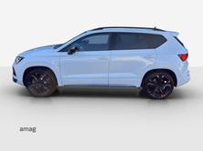 CUPRA ATECA, Benzina, Occasioni / Usate, Automatico - 2