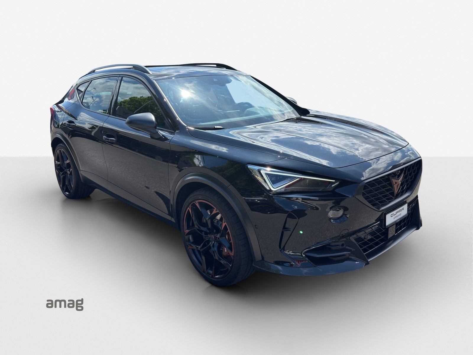 CUPRA FORMENTOR VZ5 4DRIVE 2.5 TSI V5 390 PS DSG 4x4, Benzina, Occasioni / Usate, Automatico - 6