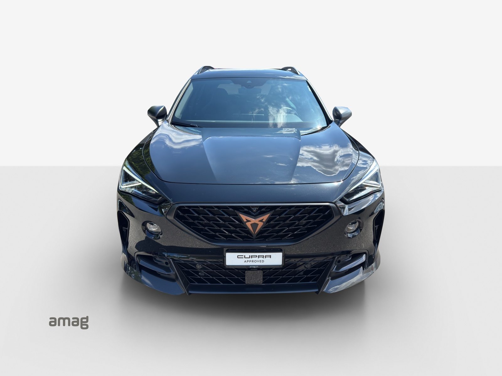 CUPRA FORMENTOR VZ5 4DRIVE 2.5 TSI V5 390 PS DSG 4x4, Benzina, Occasioni / Usate, Automatico - 7