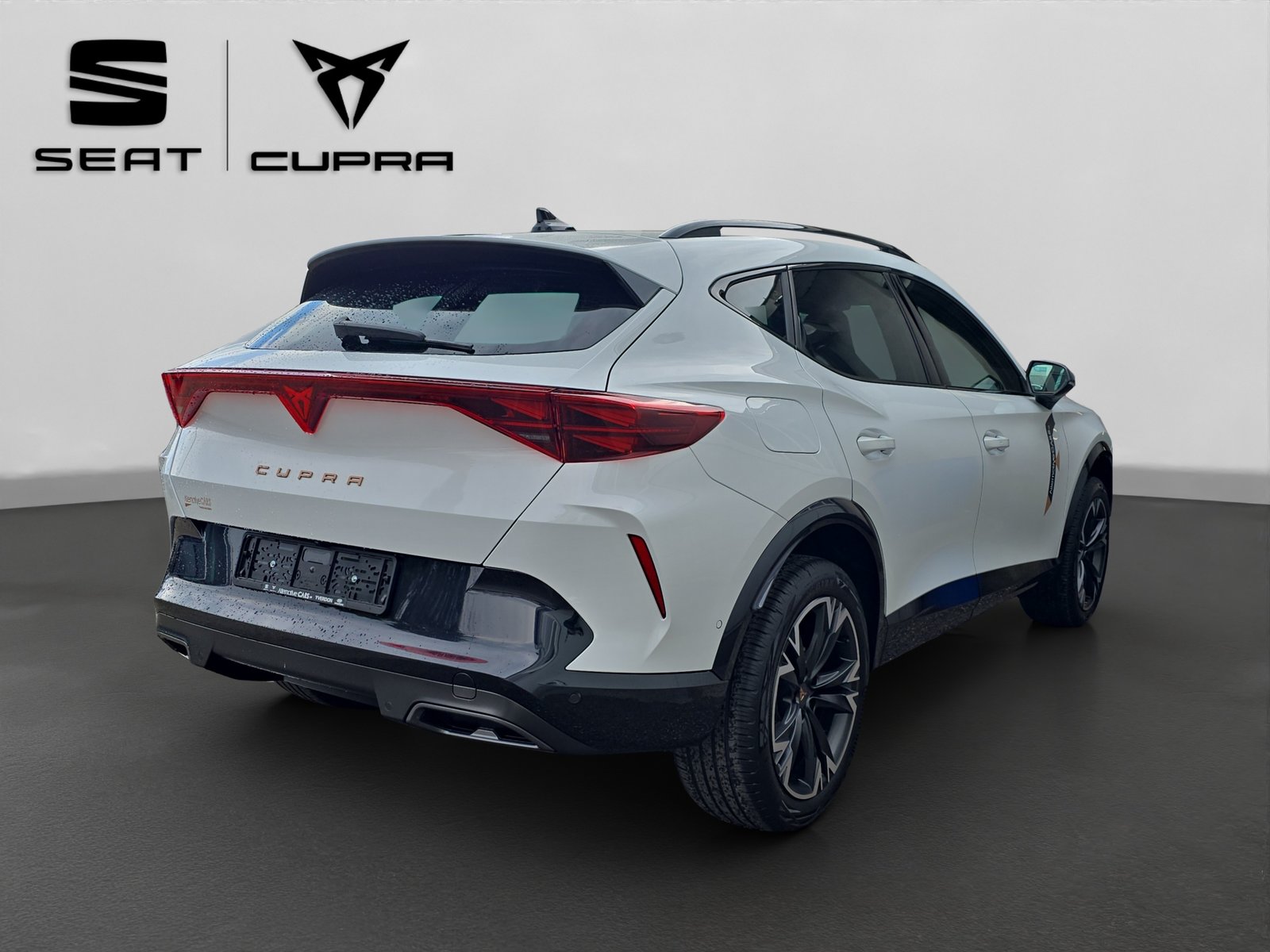 CUPRA Formentor 1.5 TSI Prime Edition DSG, Benzina, Occasioni / Usate, Automatico - 6