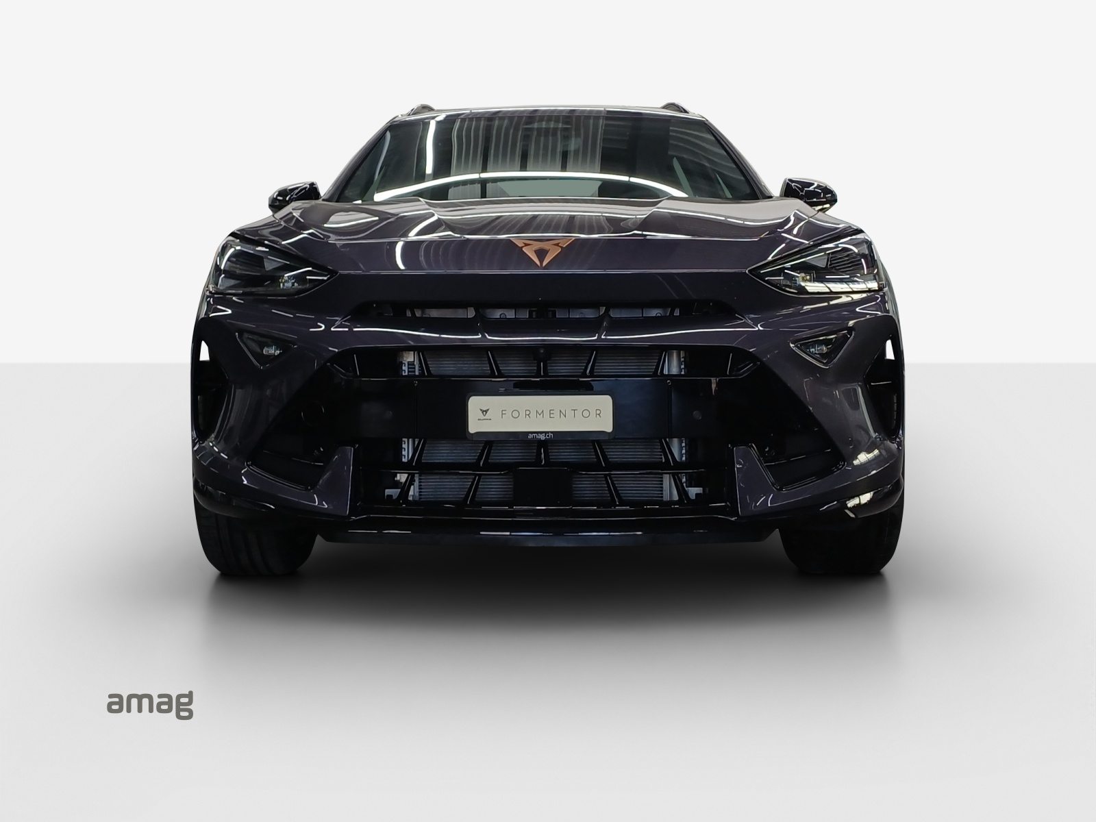 CUPRA FORMENTOR PRIME EDITION, Benzin, Neuwagen, Automatik - 7