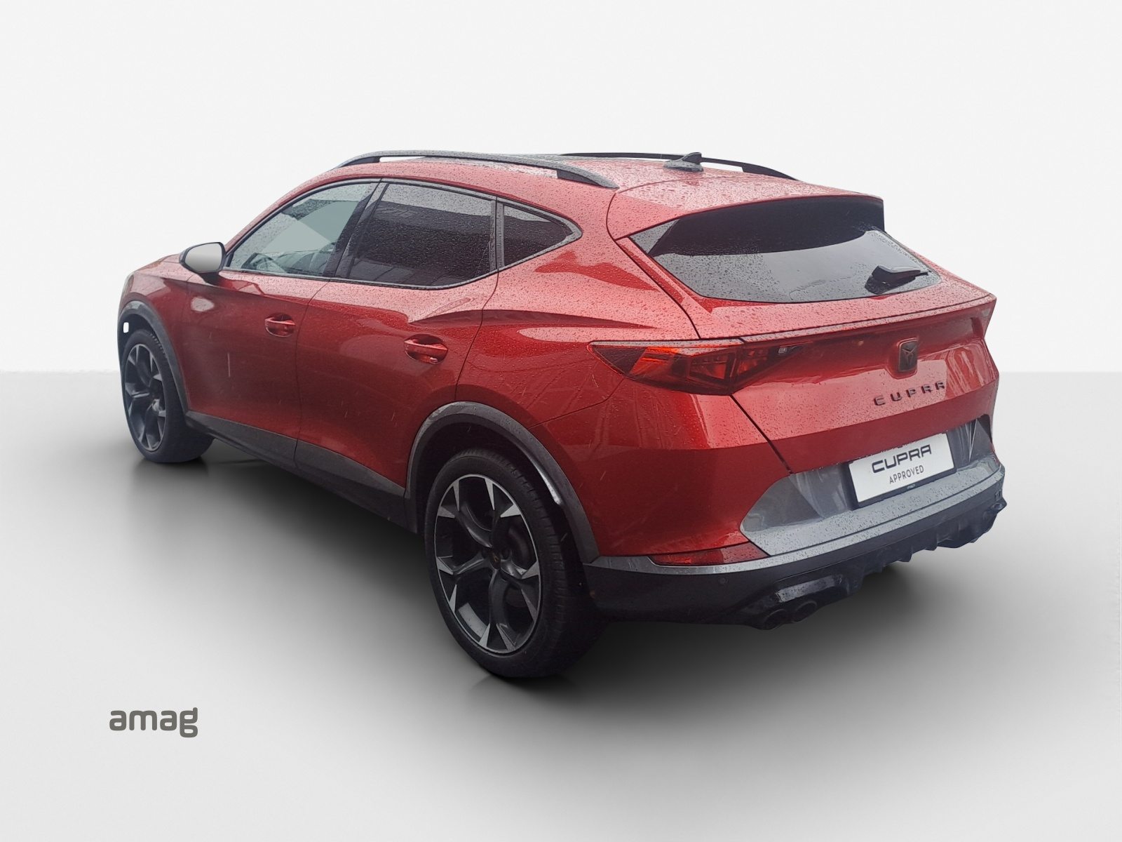 CUPRA FORMENTOR 4DRIVE, Benzina, Occasioni / Usate, Automatico - 3