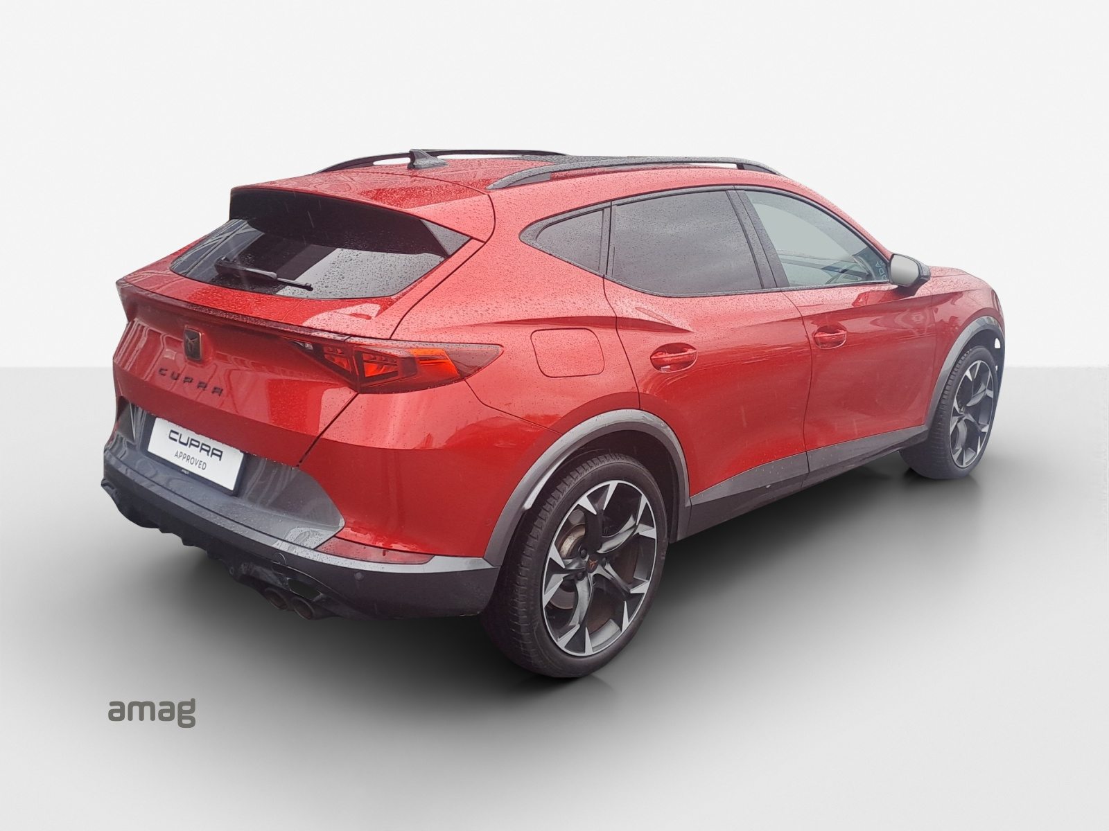 CUPRA FORMENTOR 4DRIVE, Benzina, Occasioni / Usate, Automatico - 5