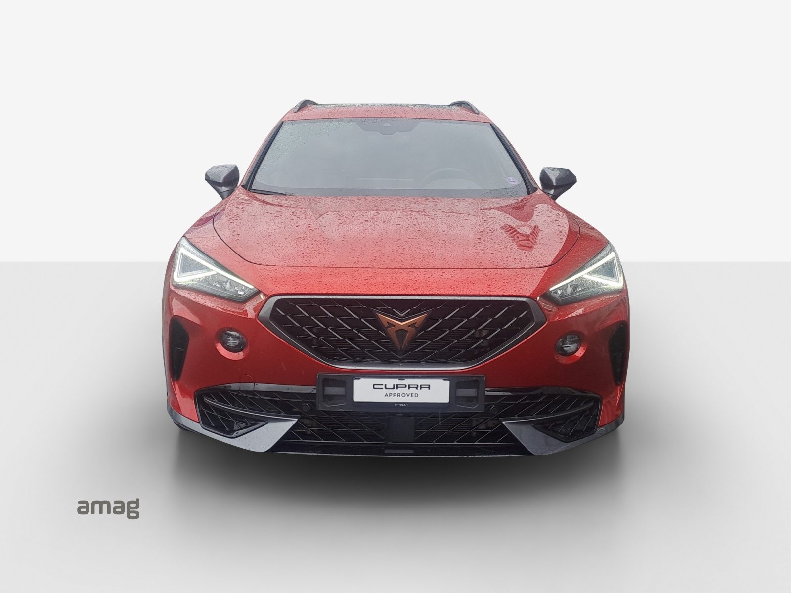 CUPRA FORMENTOR 4DRIVE, Benzina, Occasioni / Usate, Automatico - 7