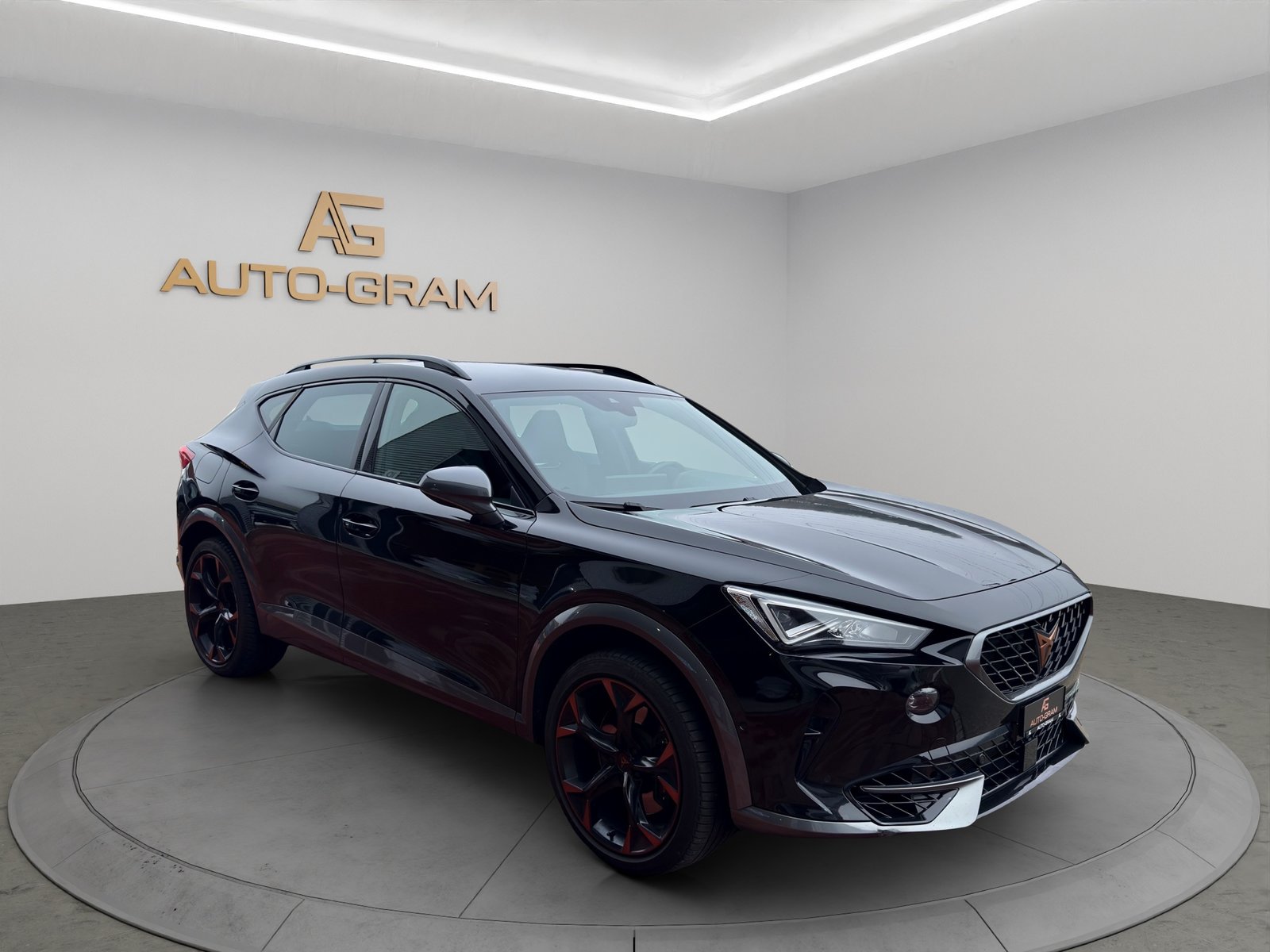 CUPRA Formentor 2.0TSI VZ 4Drive DSG, Benzina, Occasioni / Usate, Automatico - 7