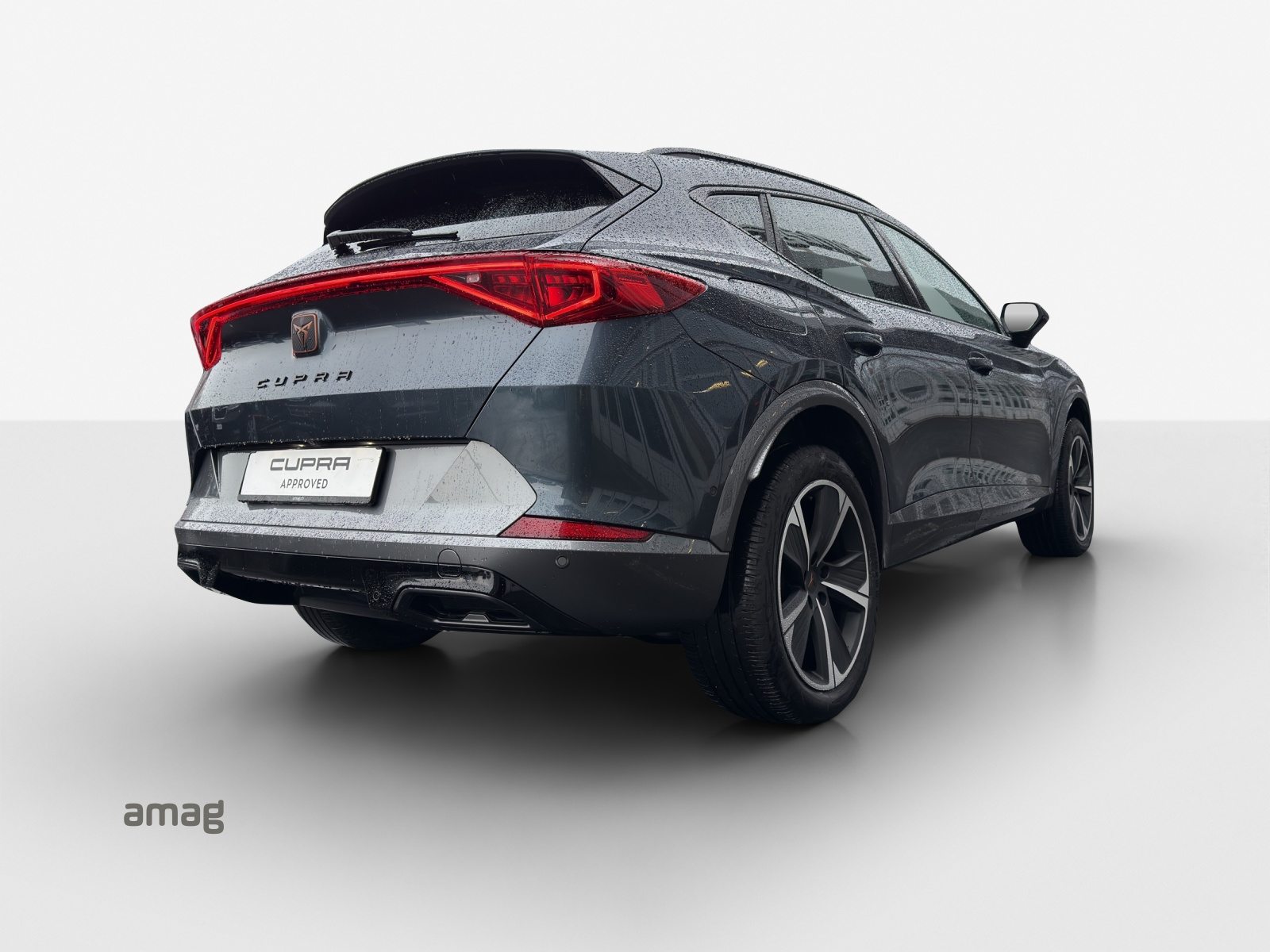 CUPRA FORMENTOR 4DRIVE, Benzina, Occasioni / Usate, Automatico - 5