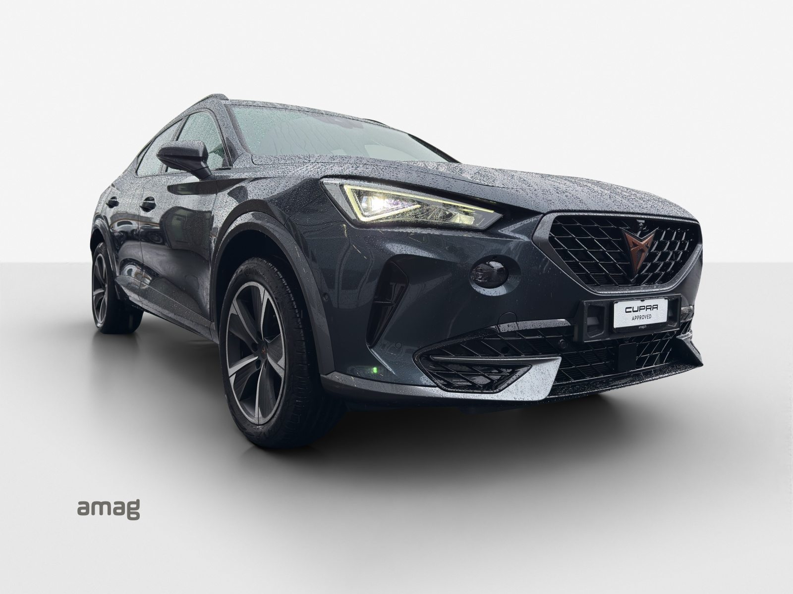 CUPRA FORMENTOR 4DRIVE, Benzina, Occasioni / Usate, Automatico - 6