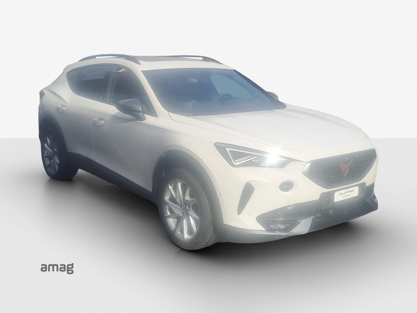 CUPRA FORMENTOR Allalin 1.4 e-HYBRID 204PS 6D (netto), Hybride Integrale Benzina/Elettrica, Occasioni / Usate, Automatico - 7