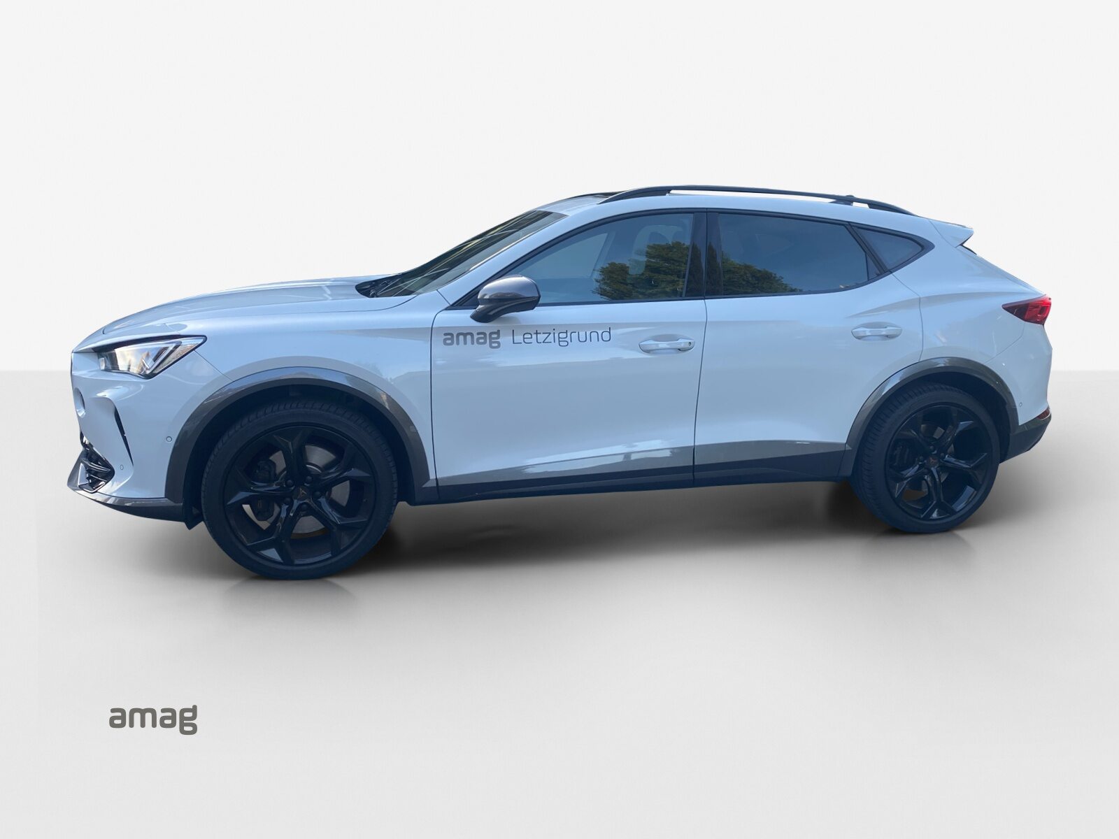 CUPRA FORMENTOR 4DRIVE, Benzina, Occasioni / Usate, Automatico - 2