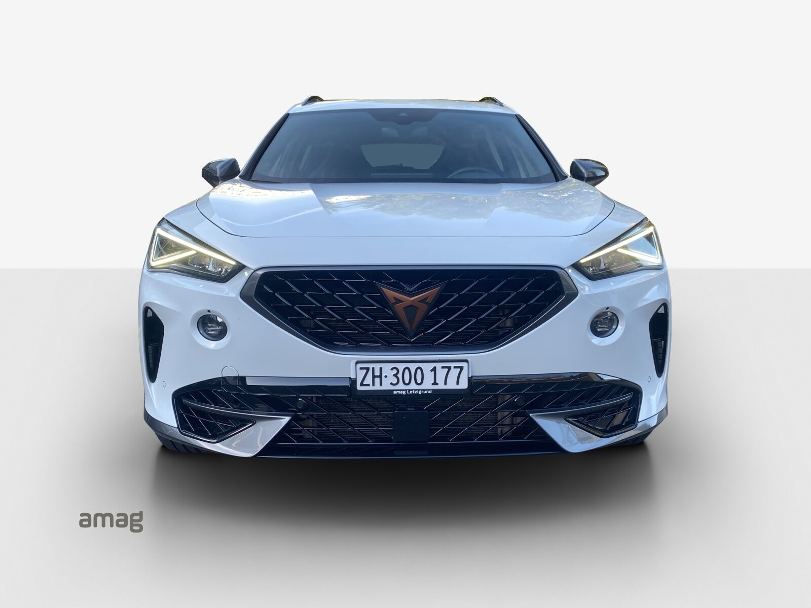 CUPRA FORMENTOR 4DRIVE, Benzina, Occasioni / Usate, Automatico - 7