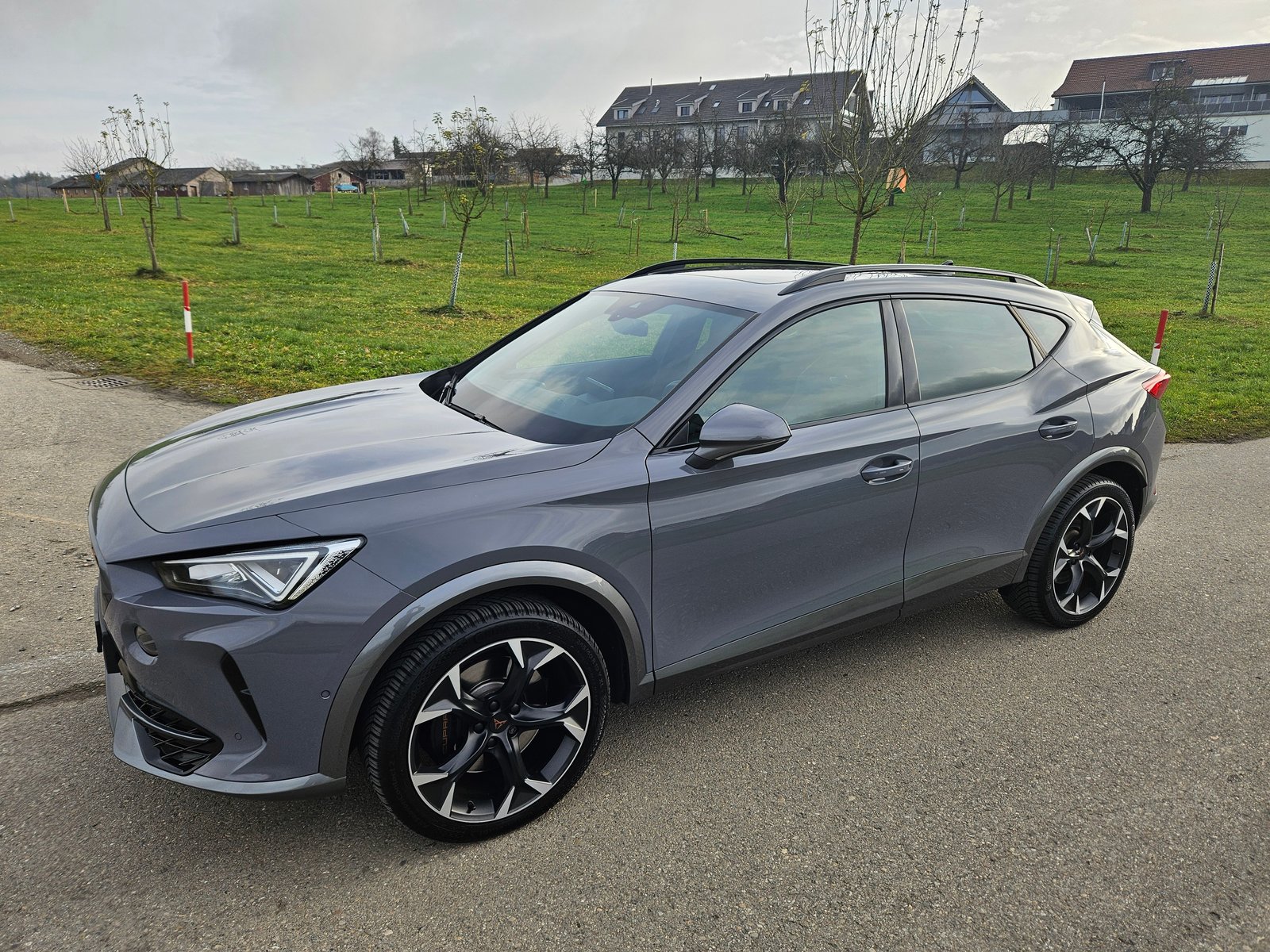 CUPRA Formentor 2.0TSI VZ 4Drive DSG, Essence, Occasion / Utilisé, Automatique - 7