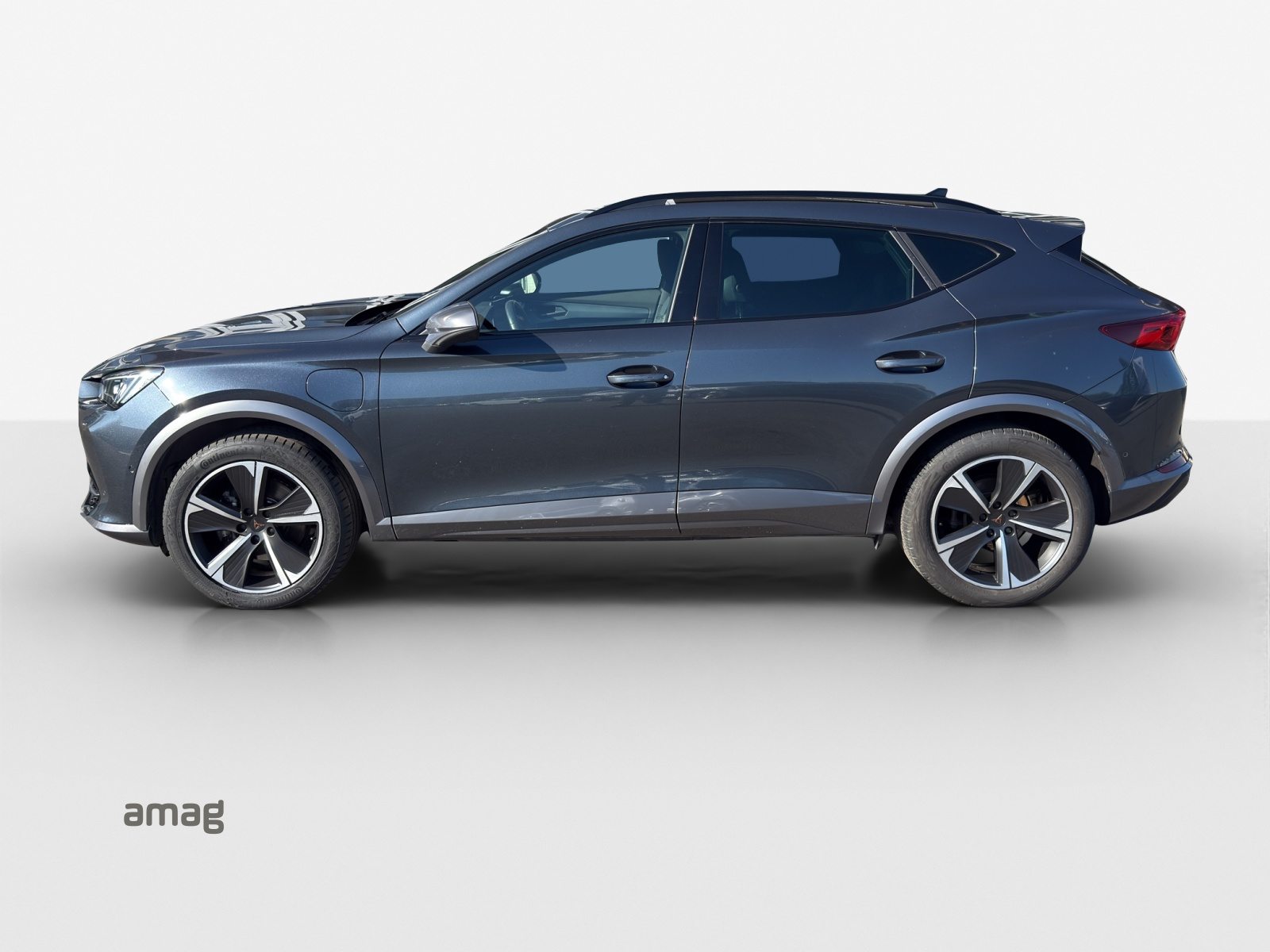 CUPRA FORMENTOR Allalin 1.4 e-HYBRID 204PS 6D (netto), Voll-Hybrid Benzin/Elektro, Occasion / Gebraucht, Automatik - 2