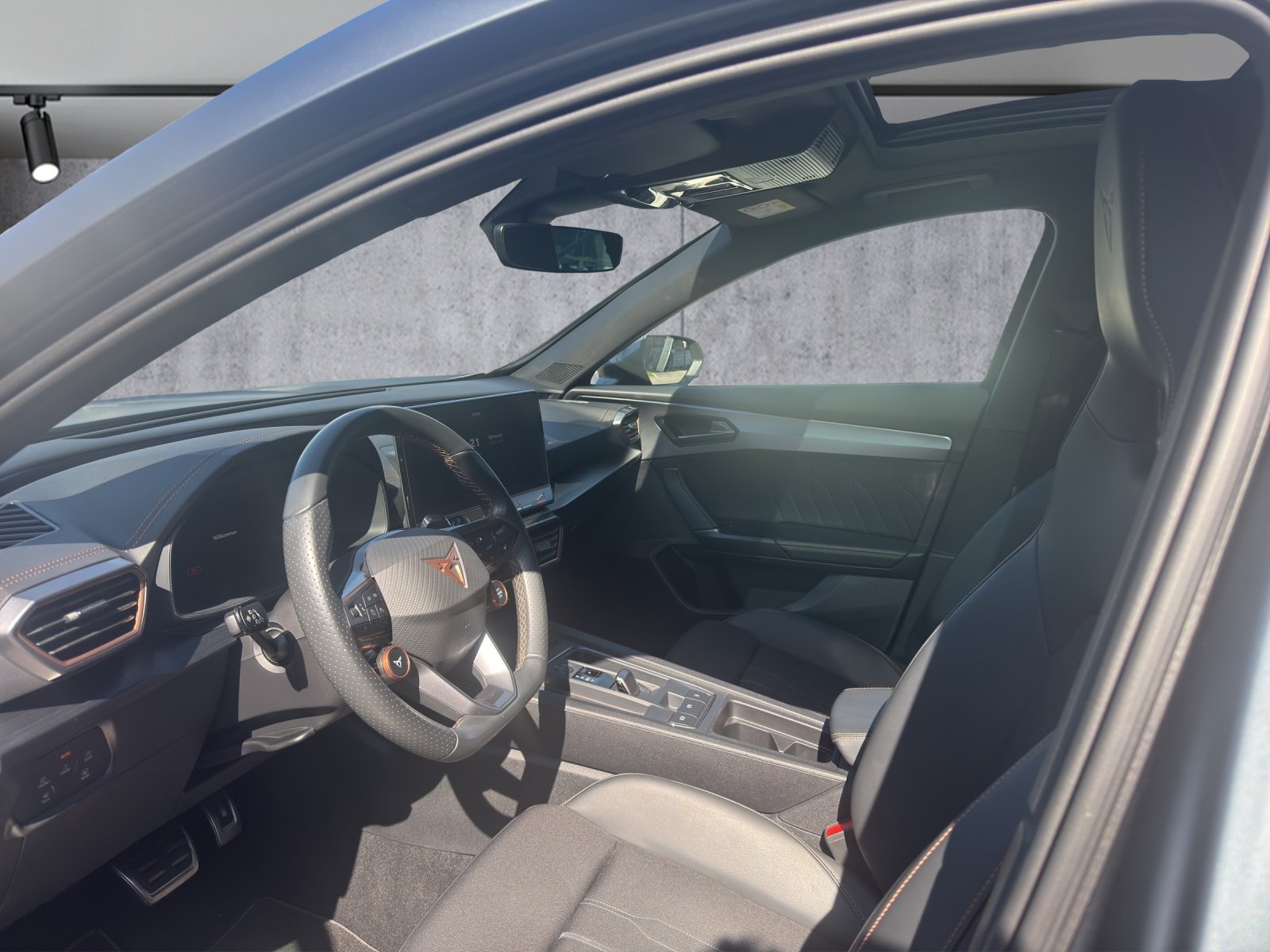 CUPRA Formentor 2.0TSI VZ 4Drive DSG, Benzina, Occasioni / Usate, Automatico - 6