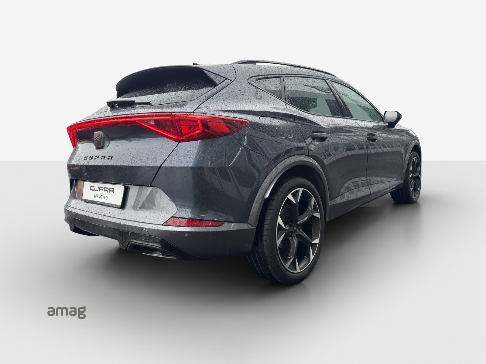 CUPRA FORMENTOR Allalin 1.4 e-HYBRID 204PS 6D (netto), Hybride Intégral Essence/Électricité, Occasion / Utilisé, Automatique - 6