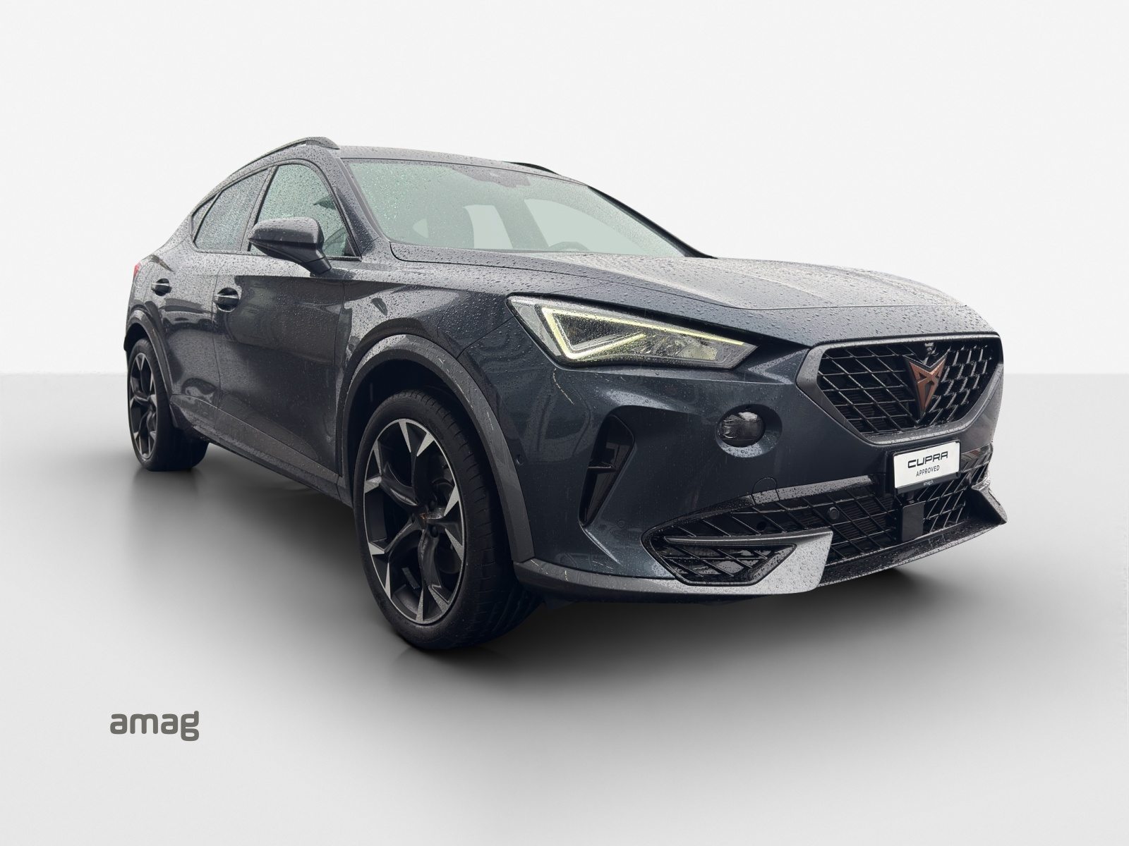 CUPRA FORMENTOR Allalin 1.4 e-HYBRID 204PS 6D (netto), Hybride Intégral Essence/Électricité, Occasion / Utilisé, Automatique - 7