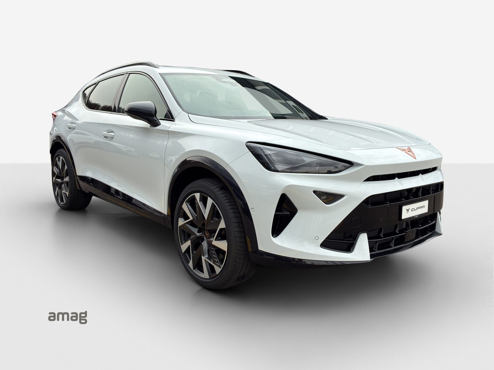 CUPRA FORMENTOR VZ e-HYBRID PRIME EDITION, Hybride Integrale Benzina/Elettrica, Occasioni / Usate, Automatico - 6