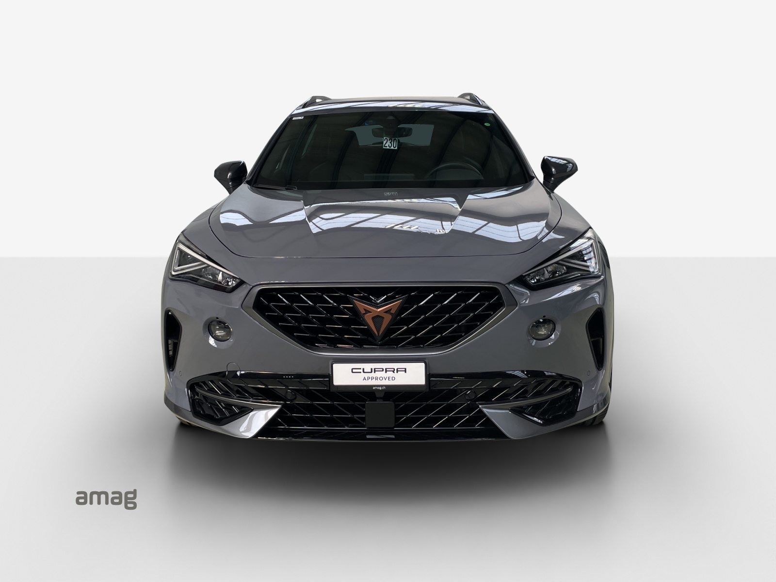 CUPRA FORMENTOR INICIO 150PS (netto), Benzina, Occasioni / Usate, Automatico - 7