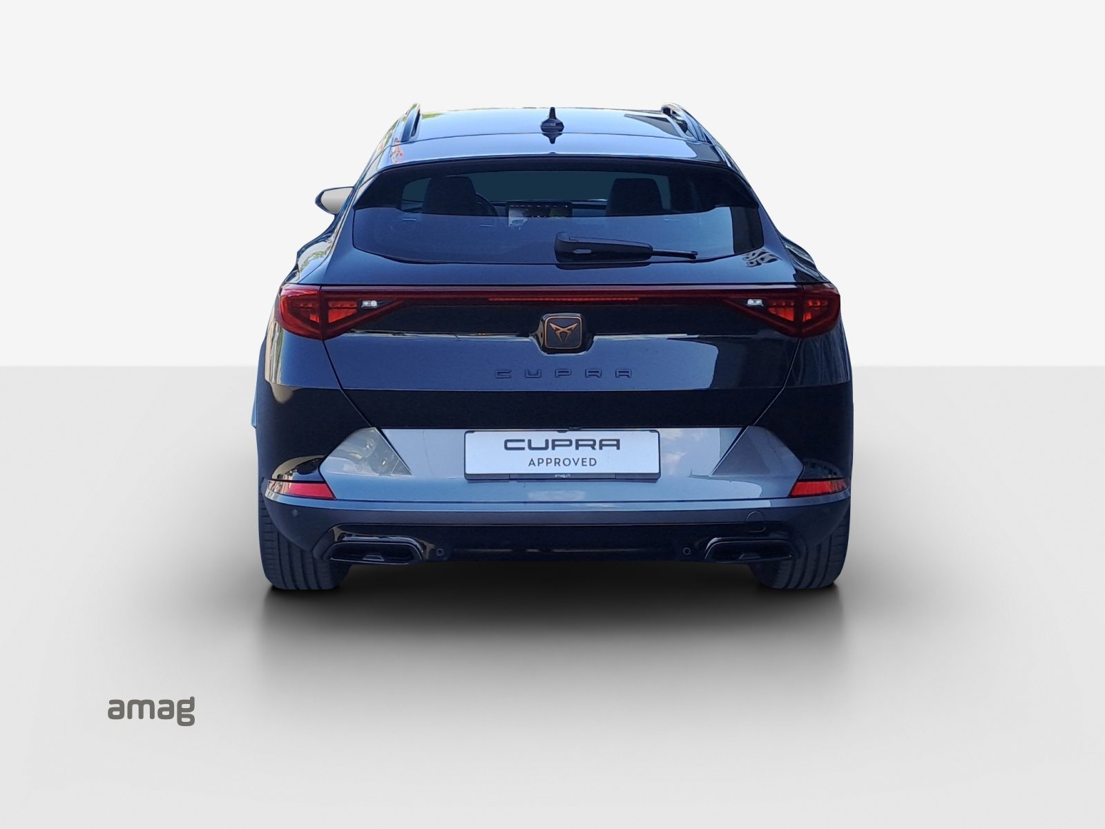 CUPRA FORMENTOR INICIO 4DRIVE (netto), Benzina, Occasioni / Usate, Automatico - 4