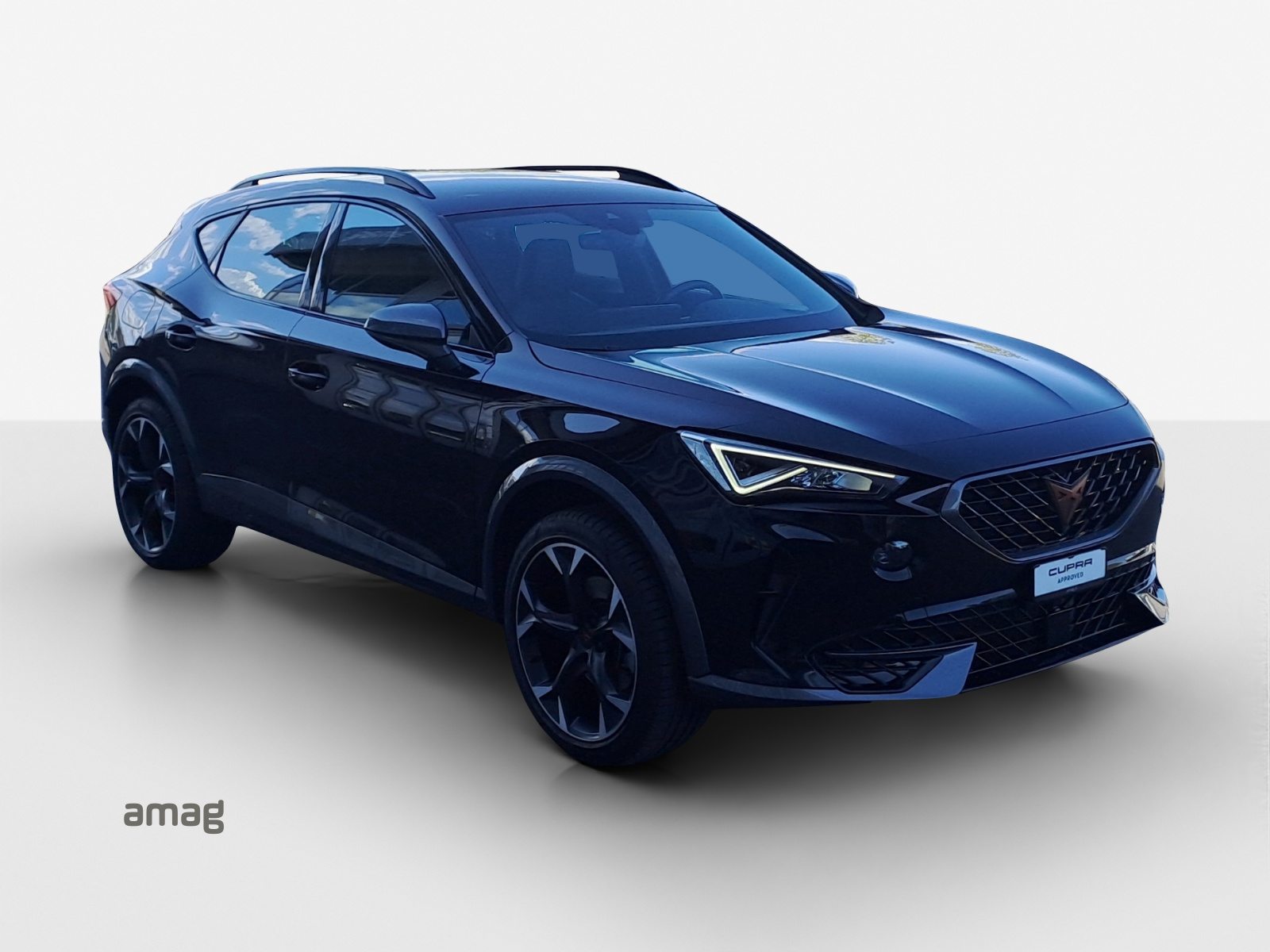 CUPRA FORMENTOR INICIO 4DRIVE (netto), Benzina, Occasioni / Usate, Automatico - 6