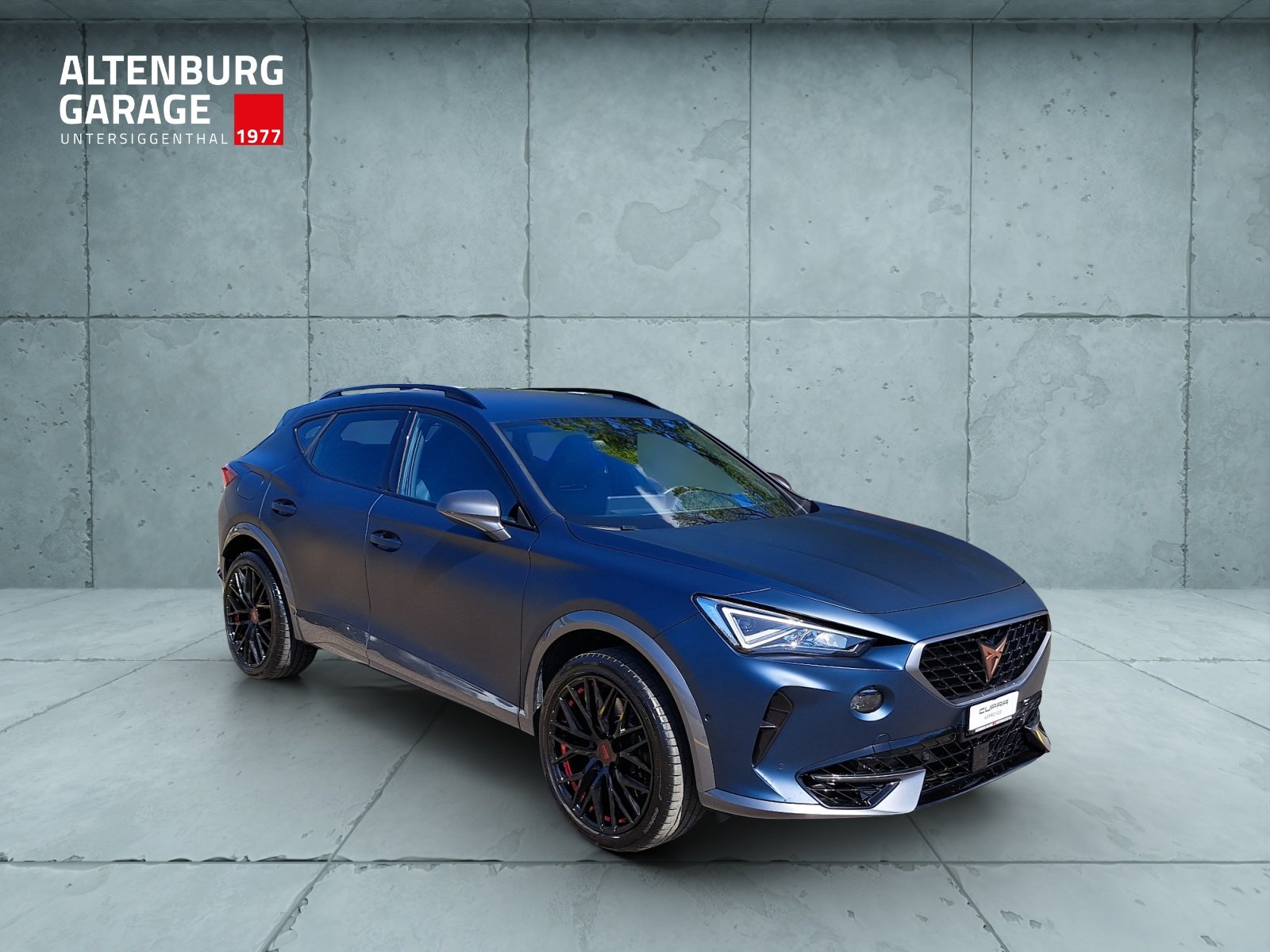 CUPRA Formentor 2.0 TSI VZ 4Drive DS, Benzina, Occasioni / Usate, Automatico - 7