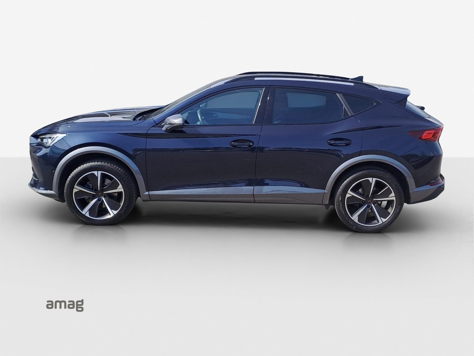 CUPRA FORMENTOR 4DRIVE, Benzina, Occasioni / Usate, Automatico - 2