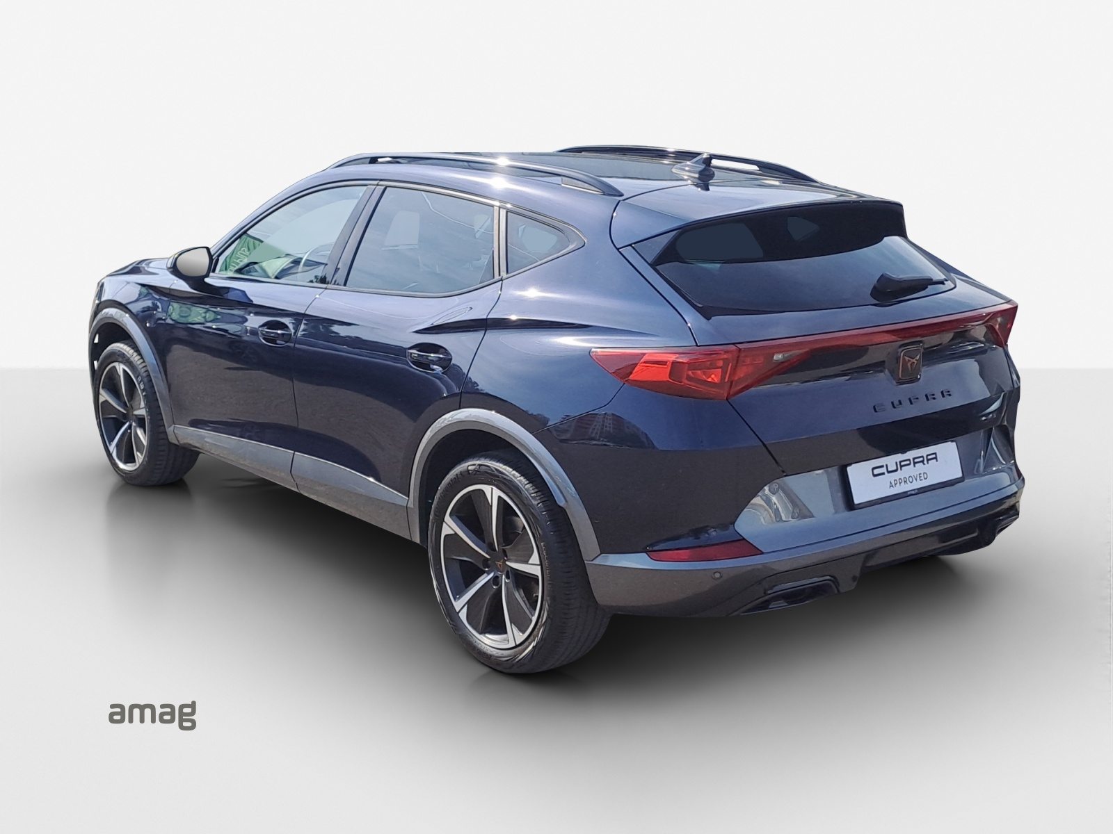 CUPRA FORMENTOR 4DRIVE, Benzina, Occasioni / Usate, Automatico - 3