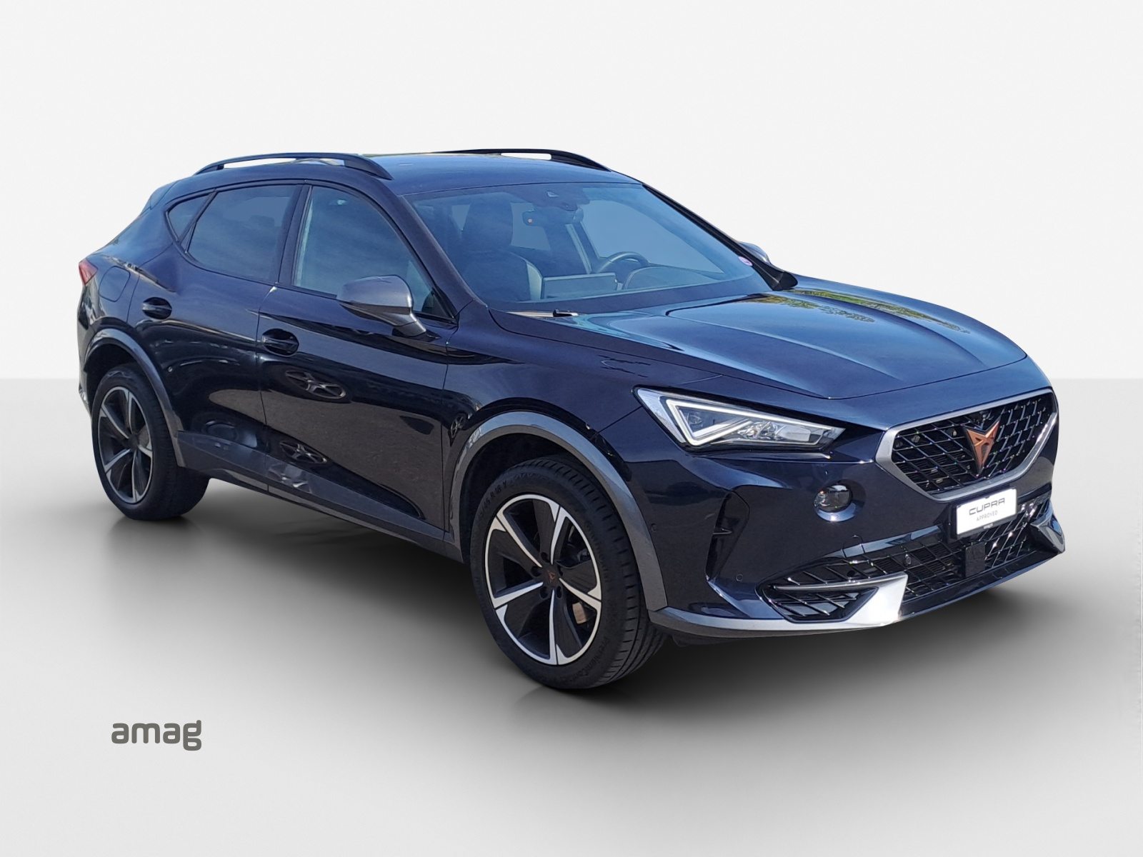 CUPRA FORMENTOR 4DRIVE, Benzina, Occasioni / Usate, Automatico - 6