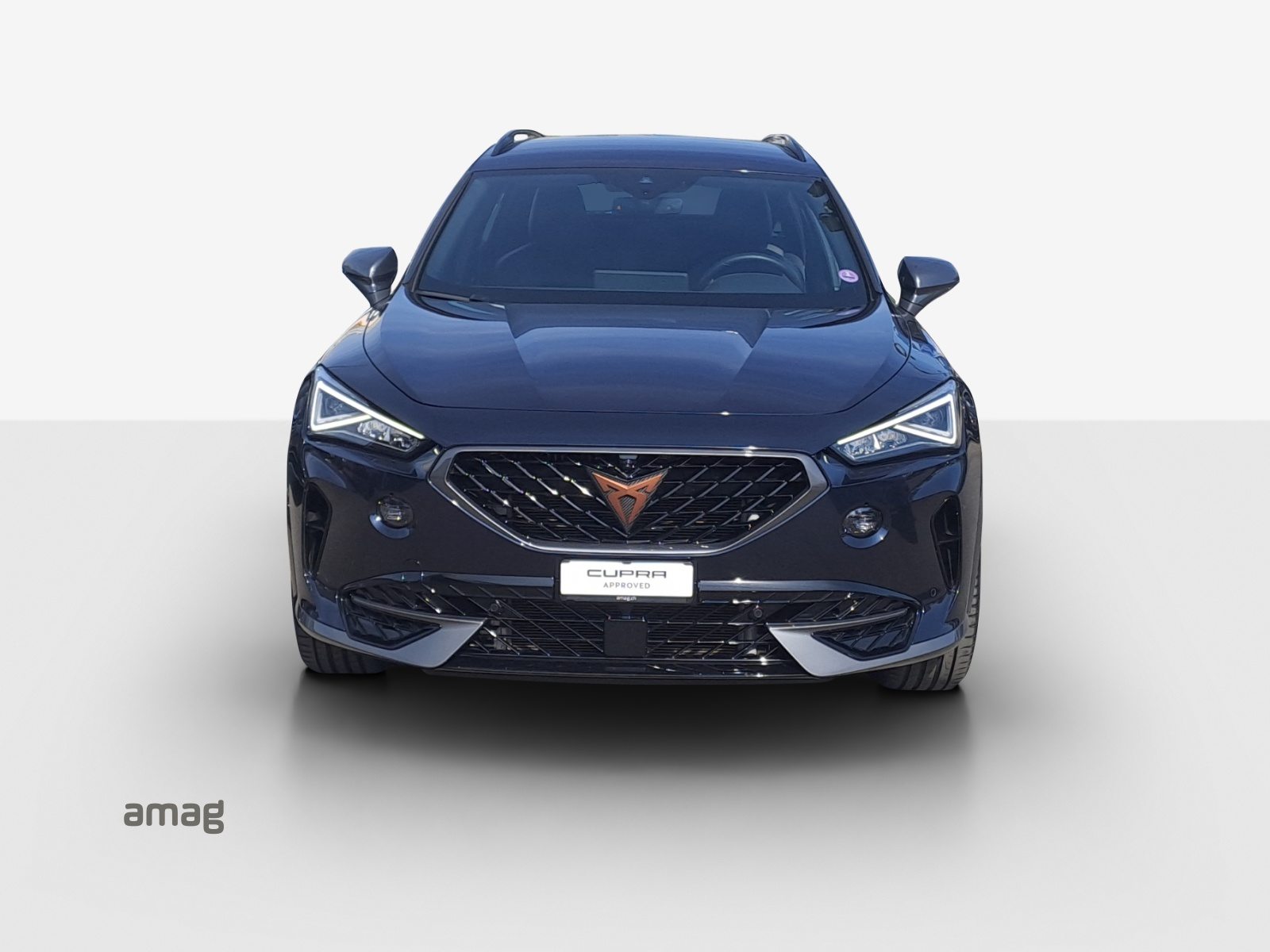 CUPRA FORMENTOR 4DRIVE, Benzina, Occasioni / Usate, Automatico - 7