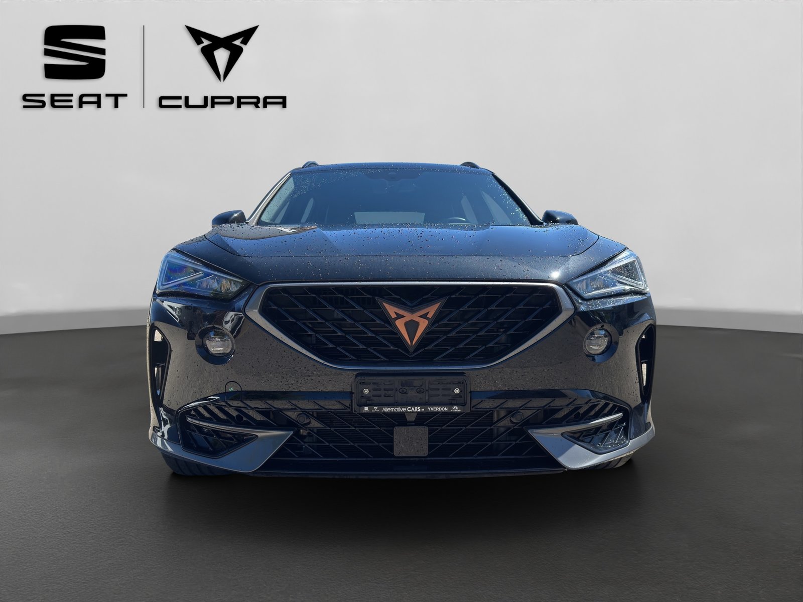 CUPRA Formentor 2.0TSI 4Drive DSG, Benzina, Occasioni / Usate, Automatico - 2