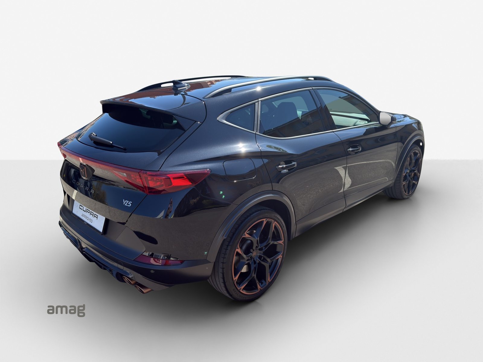 CUPRA FORMENTOR VZ5 4DRIVE, Benzina, Occasioni / Usate, Automatico - 5