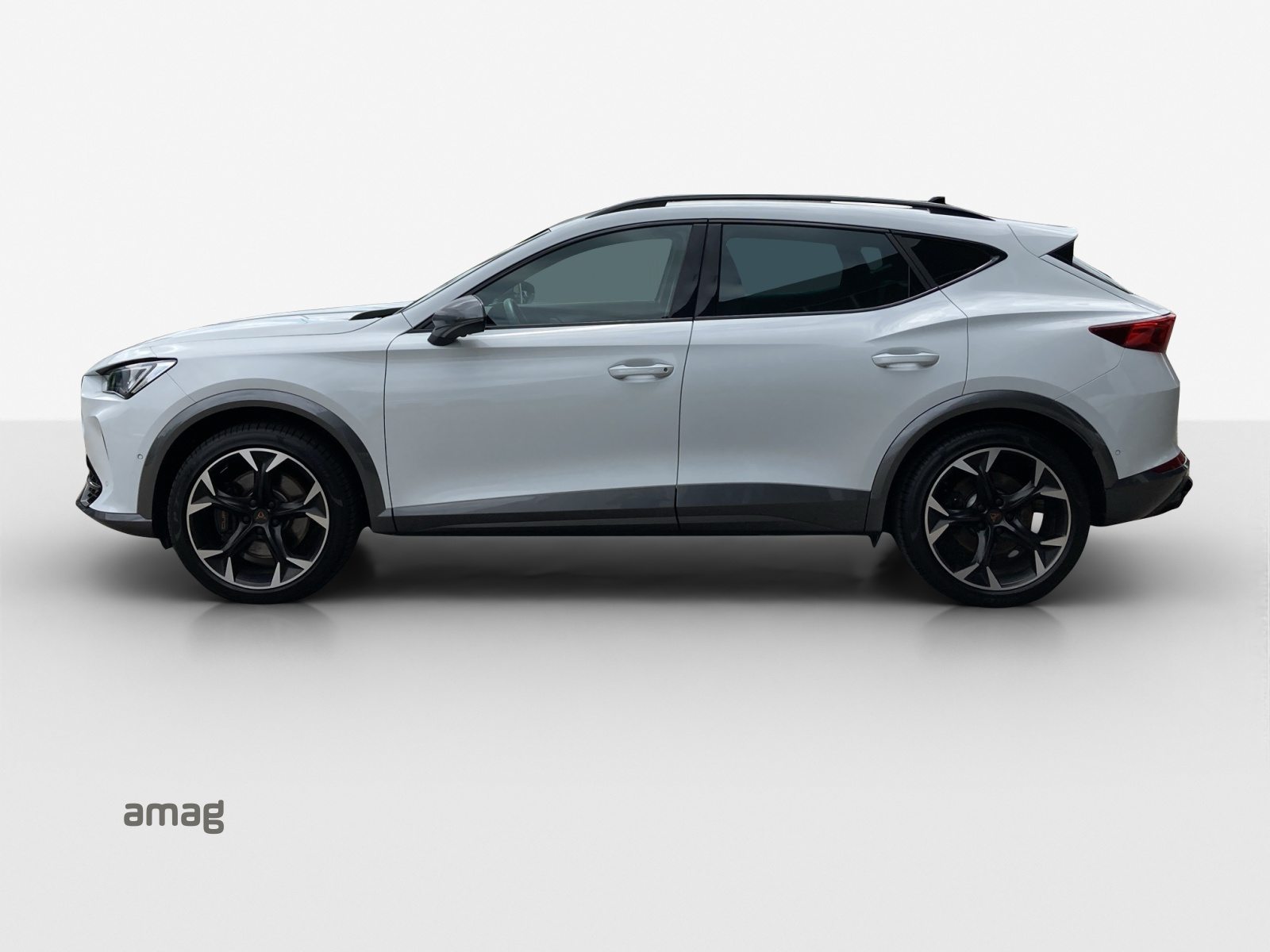 CUPRA FORMENTOR 4DRIVE, Benzina, Occasioni / Usate, Automatico - 2