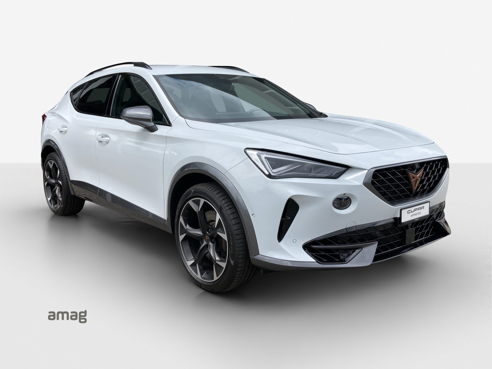 CUPRA FORMENTOR 4DRIVE, Benzina, Occasioni / Usate, Automatico - 6
