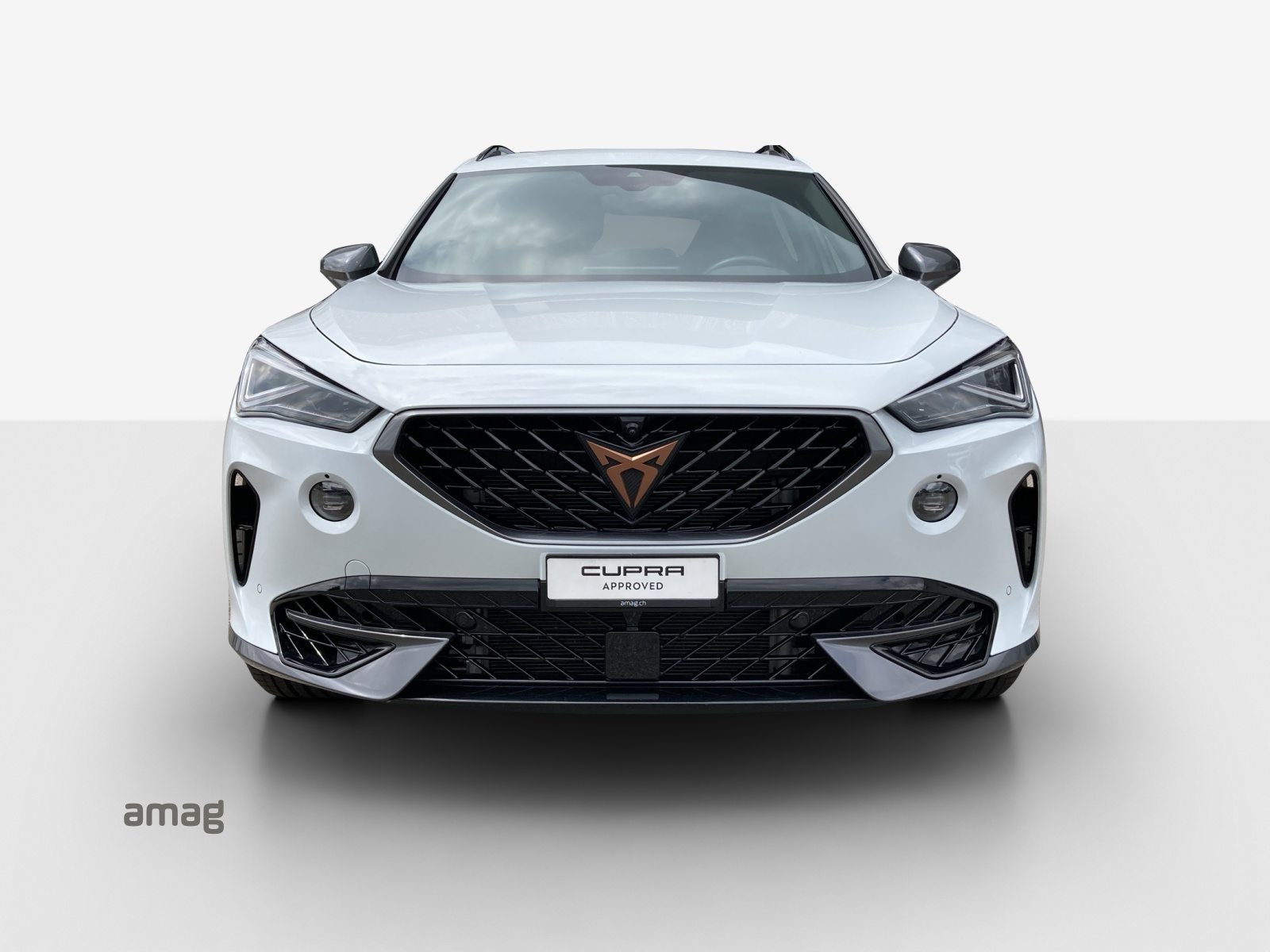 CUPRA FORMENTOR 4DRIVE, Benzina, Occasioni / Usate, Automatico - 7