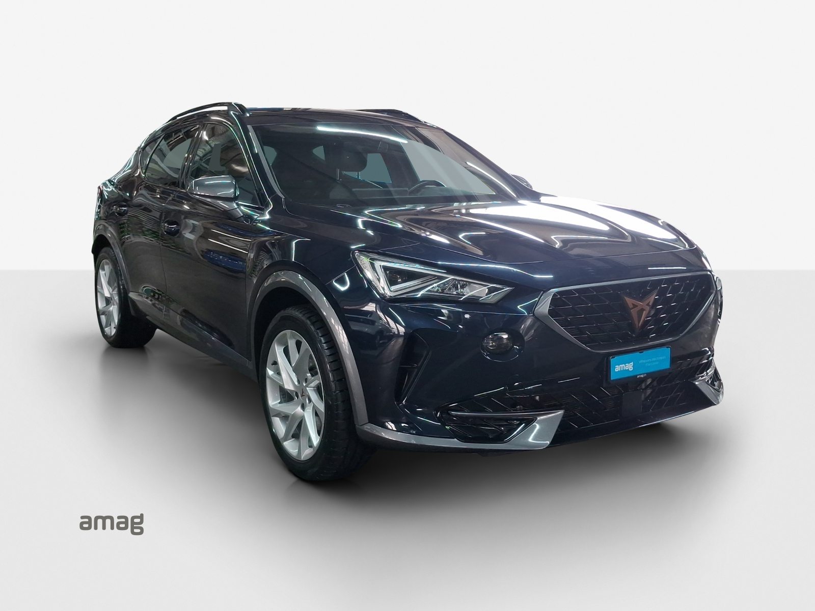 CUPRA FORMENTOR Allalin 1.4 e-HYBRID 204PS 6D (netto), Full-Hybrid Petrol/Electric, Second hand / Used, Automatic - 7