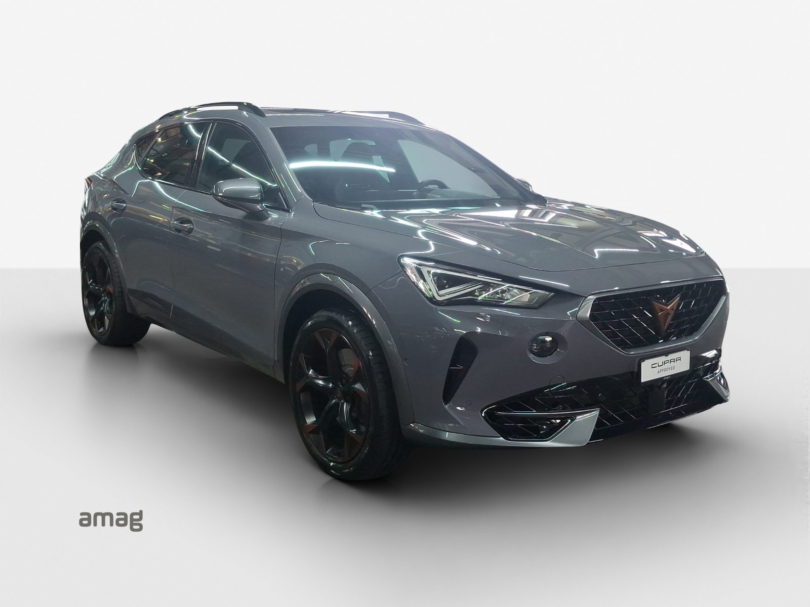 CUPRA FORMENTOR 4DRIVE, Essence, Occasion / Utilisé, Automatique - 6
